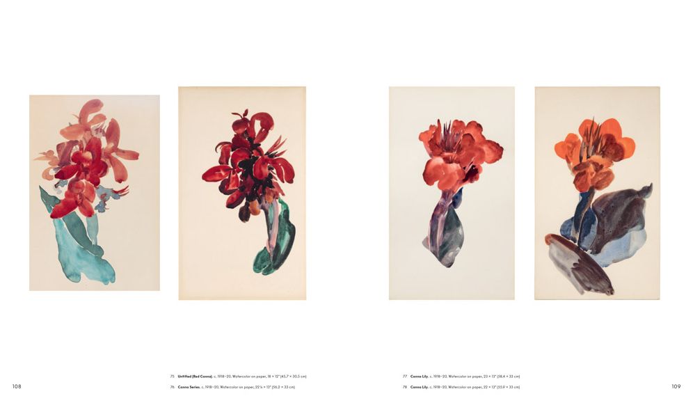 Georgia O'Keeffe: To See Takes Time