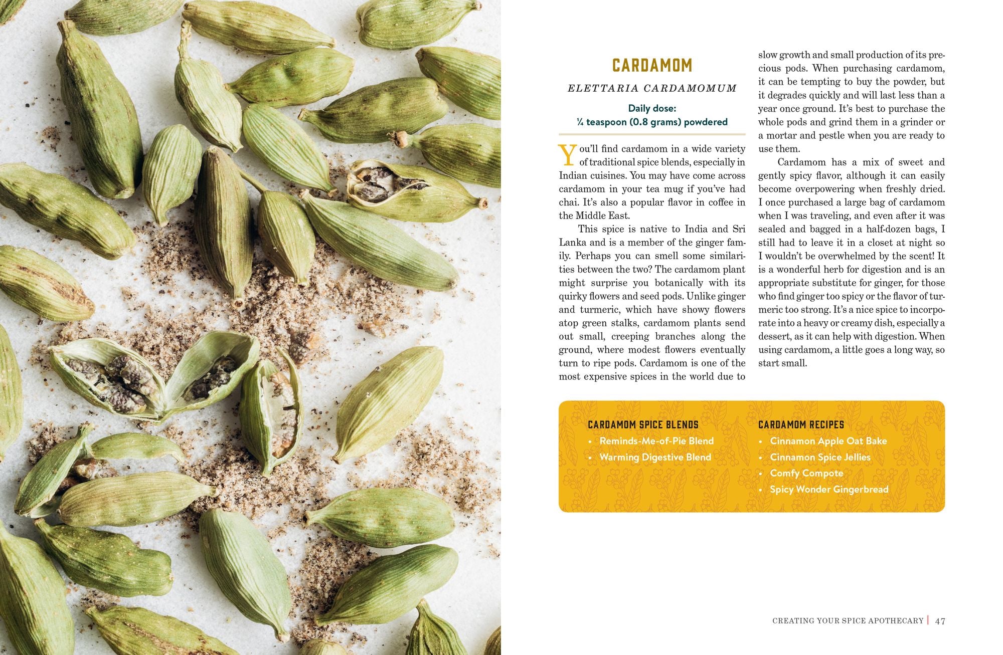 Spice Apothecary: Blending and Using Common Spices for Everyday Health
