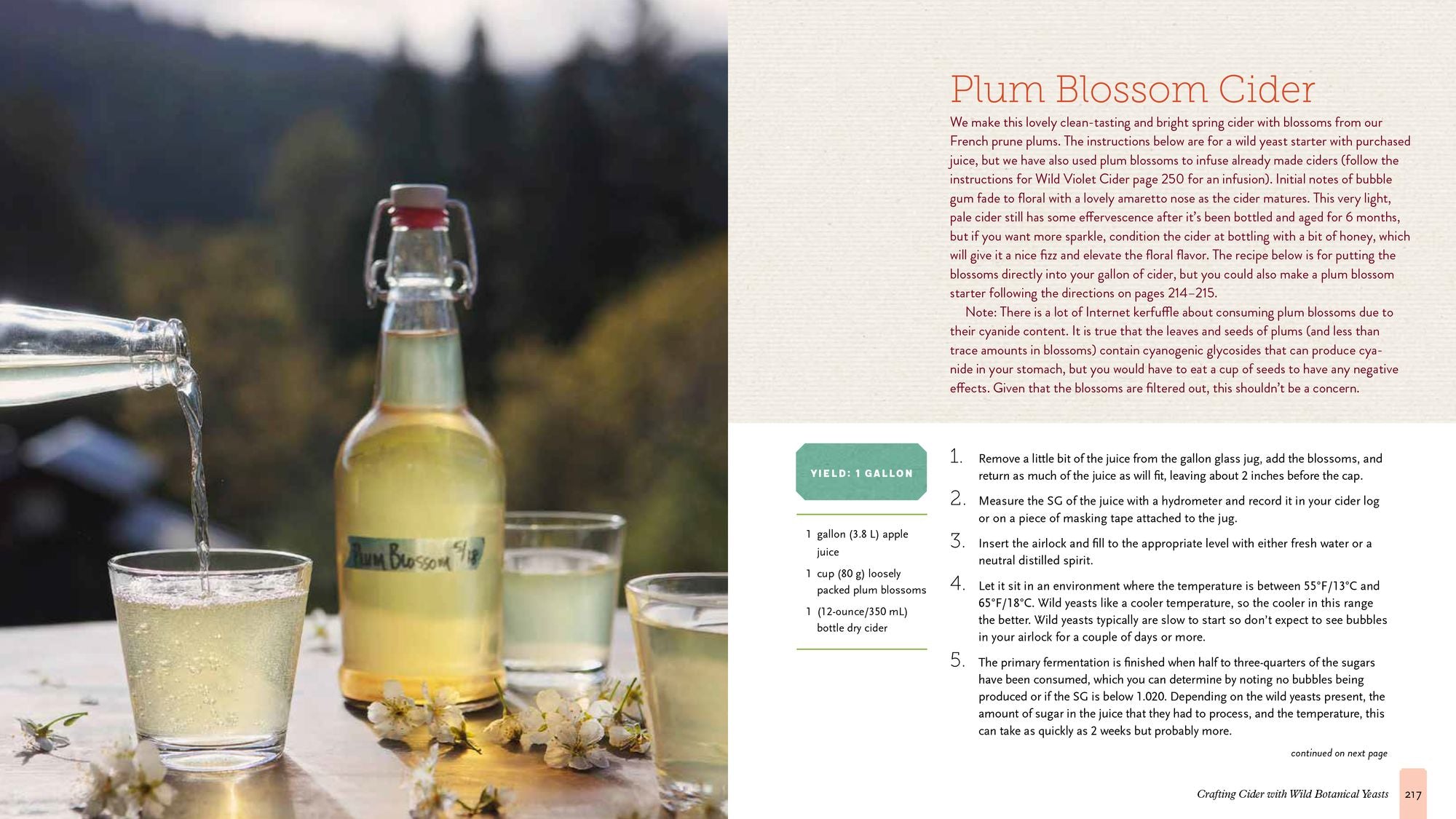 The Big Book of Cidermaking: Expert Techniques for Fermenting and Flavoring Your Favorite Hard Cider