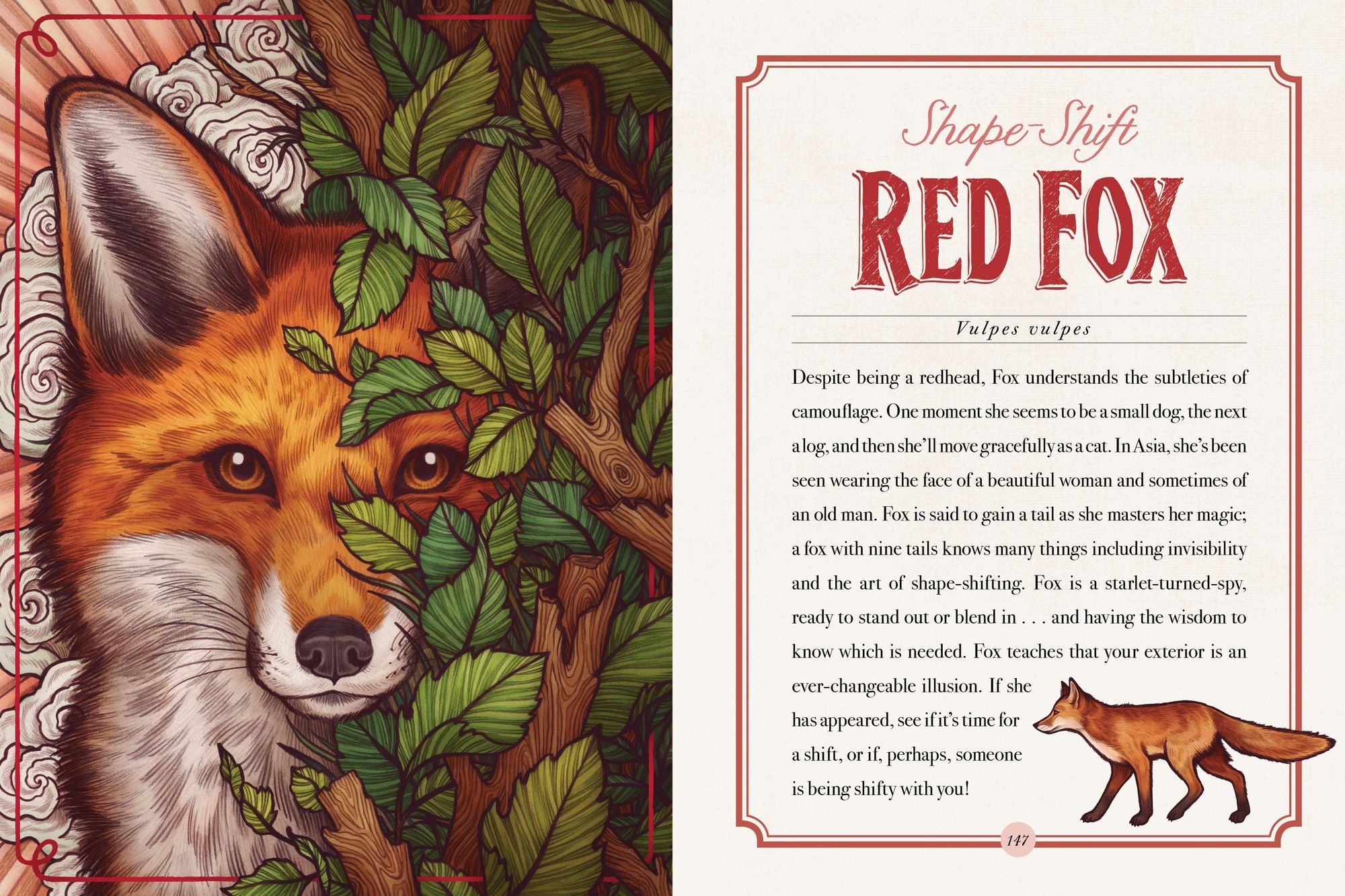 The Illustrated Bestiary: Guidance and Rituals from 36 Inspiring Animals