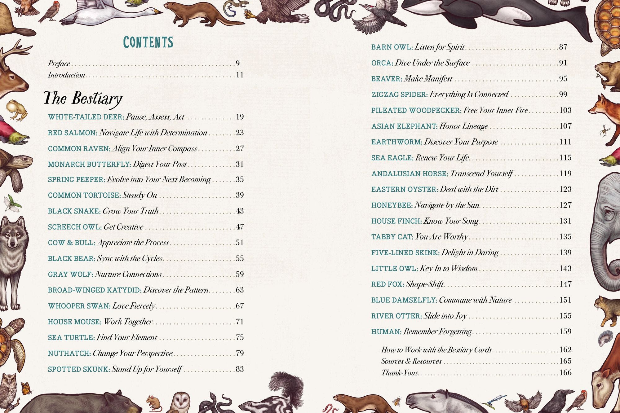 The Illustrated Bestiary: Guidance and Rituals from 36 Inspiring Animals