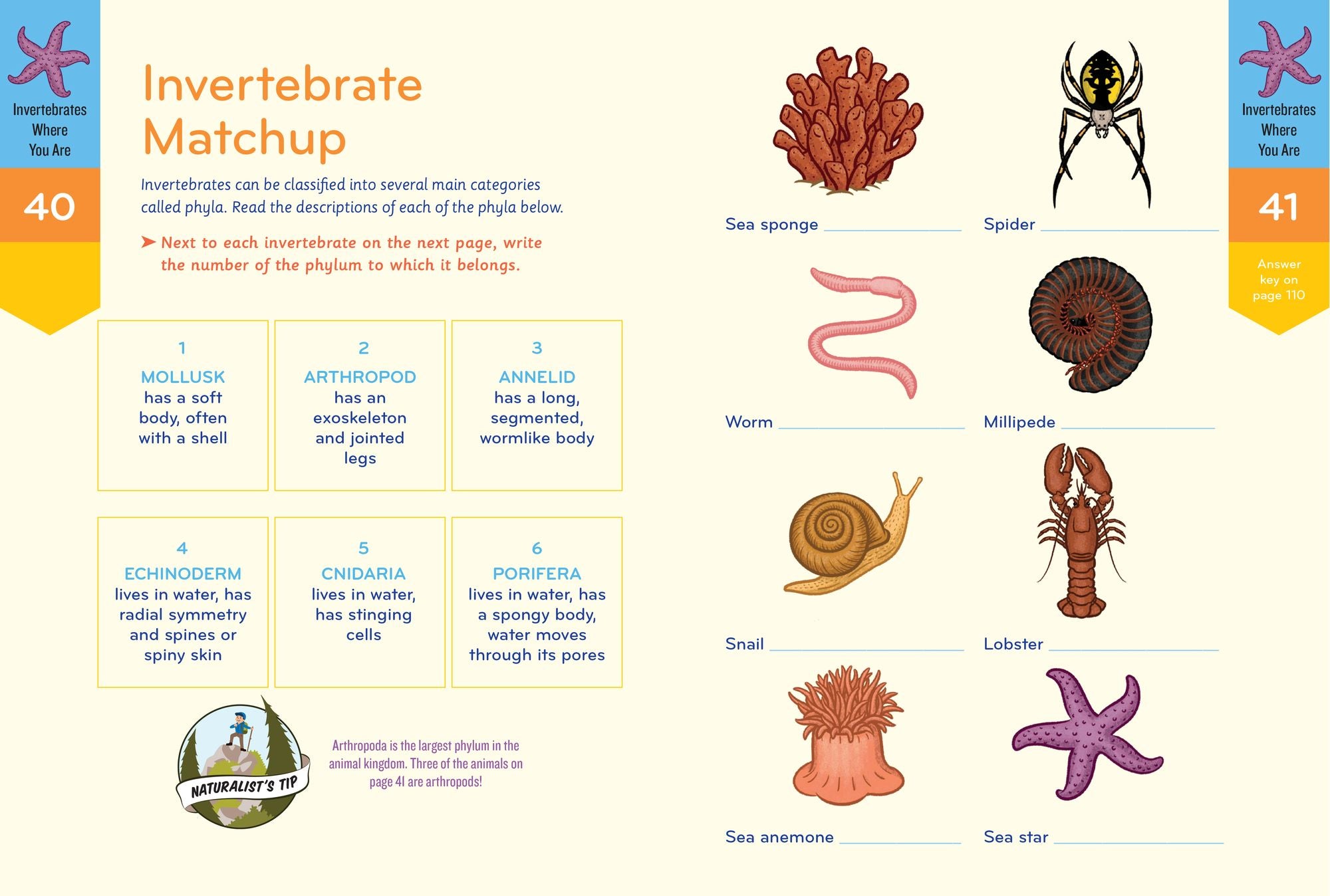 Nature Smarts Workbook, Ages 10-12