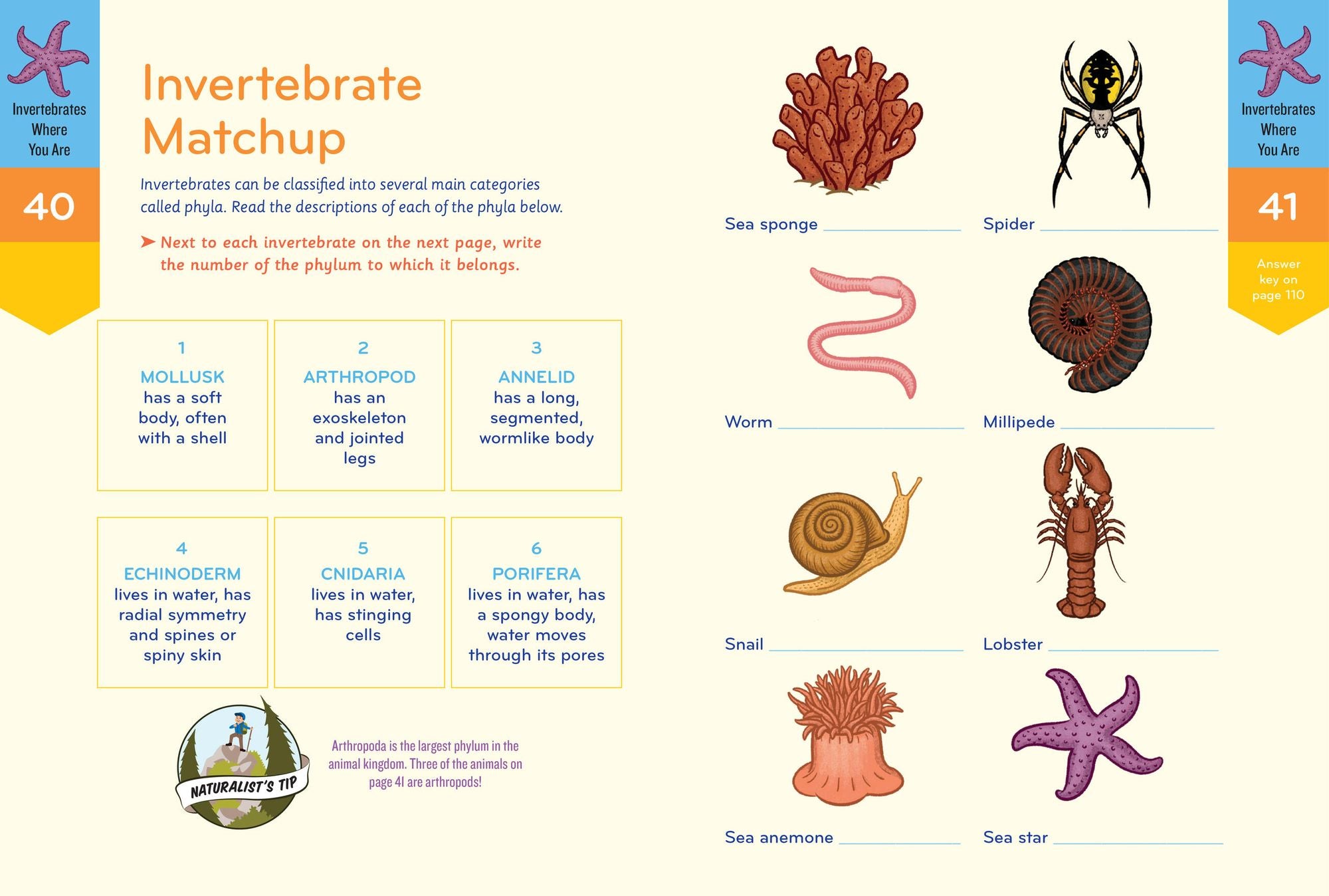 Nature Smarts Workbook, Ages 10-12