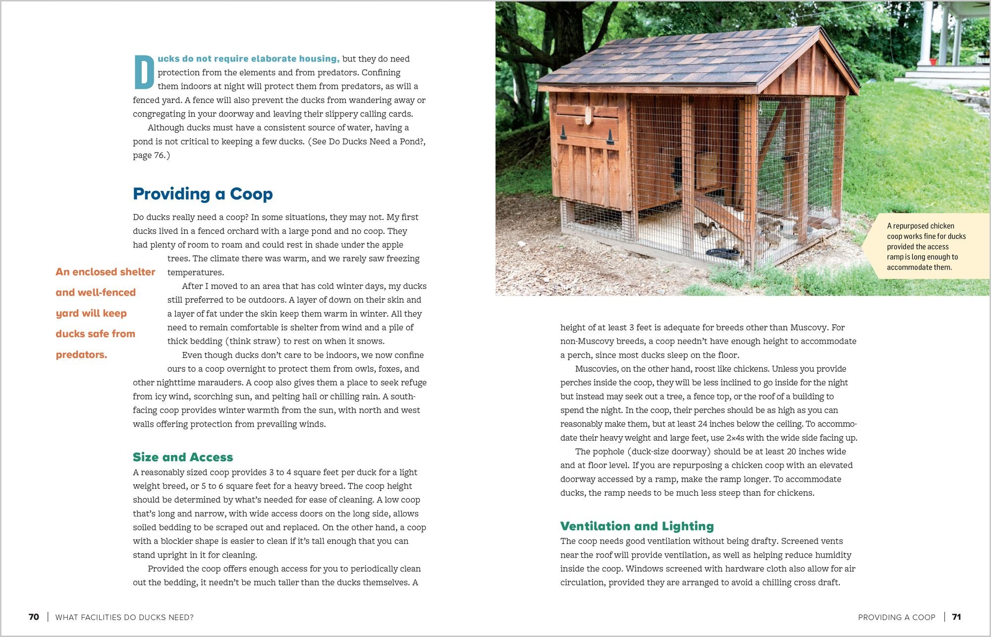 An Absolute Beginner's Guide to Raising Backyard Ducks: Breeds, Feeding, Housing and Care, Eggs and Meat