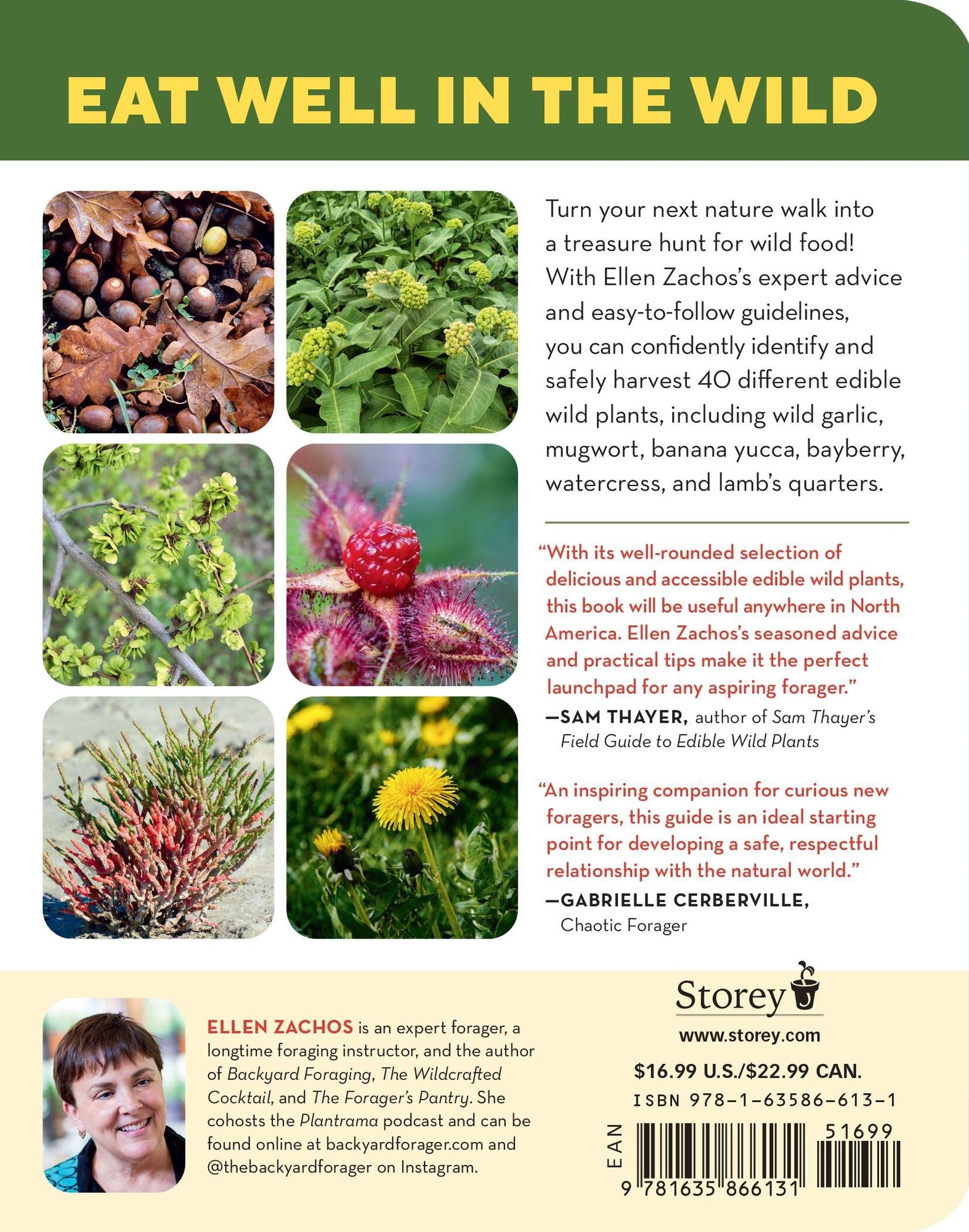 How to Forage for Wild Foods without Dying: An Absolute Beginner's Guide to Identifying 40 Edible Wild Plants