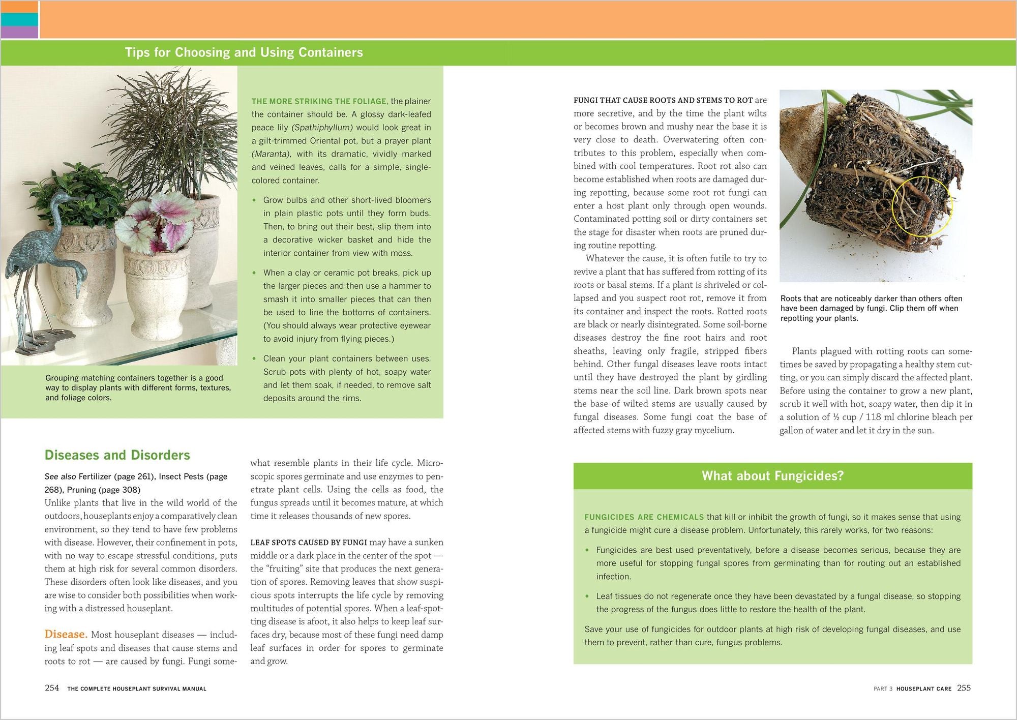 The Complete Houseplant Survival Manual: Essential Gardening Know-how for Keeping (Not Killing!) More Than 160 Indoor Plants