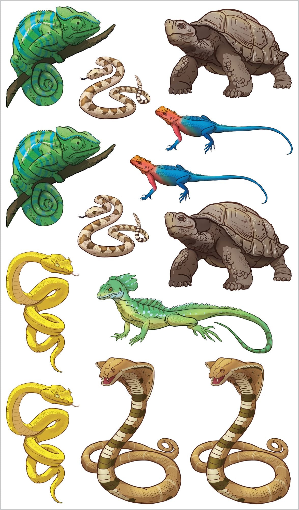 Slithering, Scaly Tattoo Snakes & Other Reptiles: 50 Temporary Tattoos That Teach