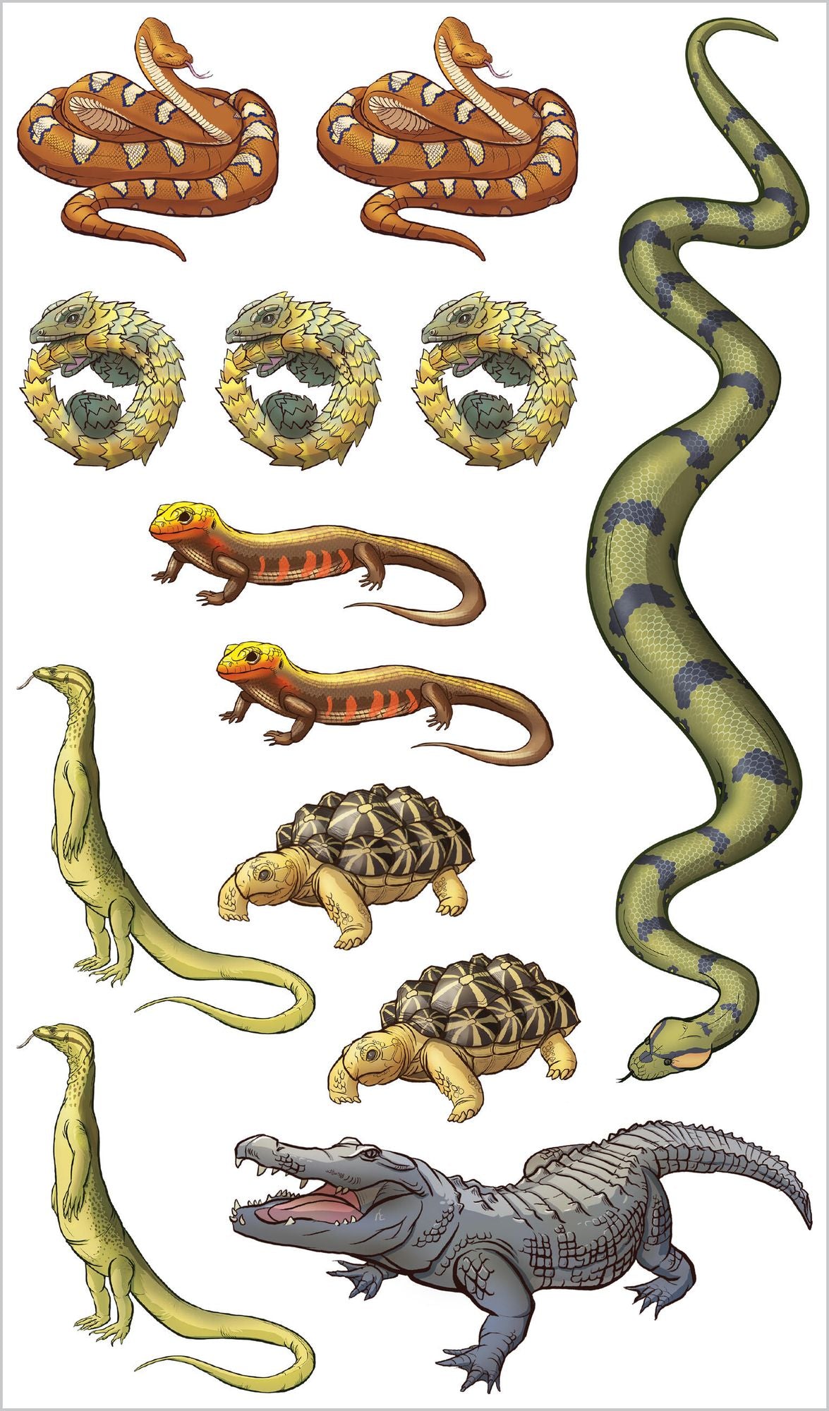 Slithering, Scaly Tattoo Snakes & Other Reptiles: 50 Temporary Tattoos That Teach
