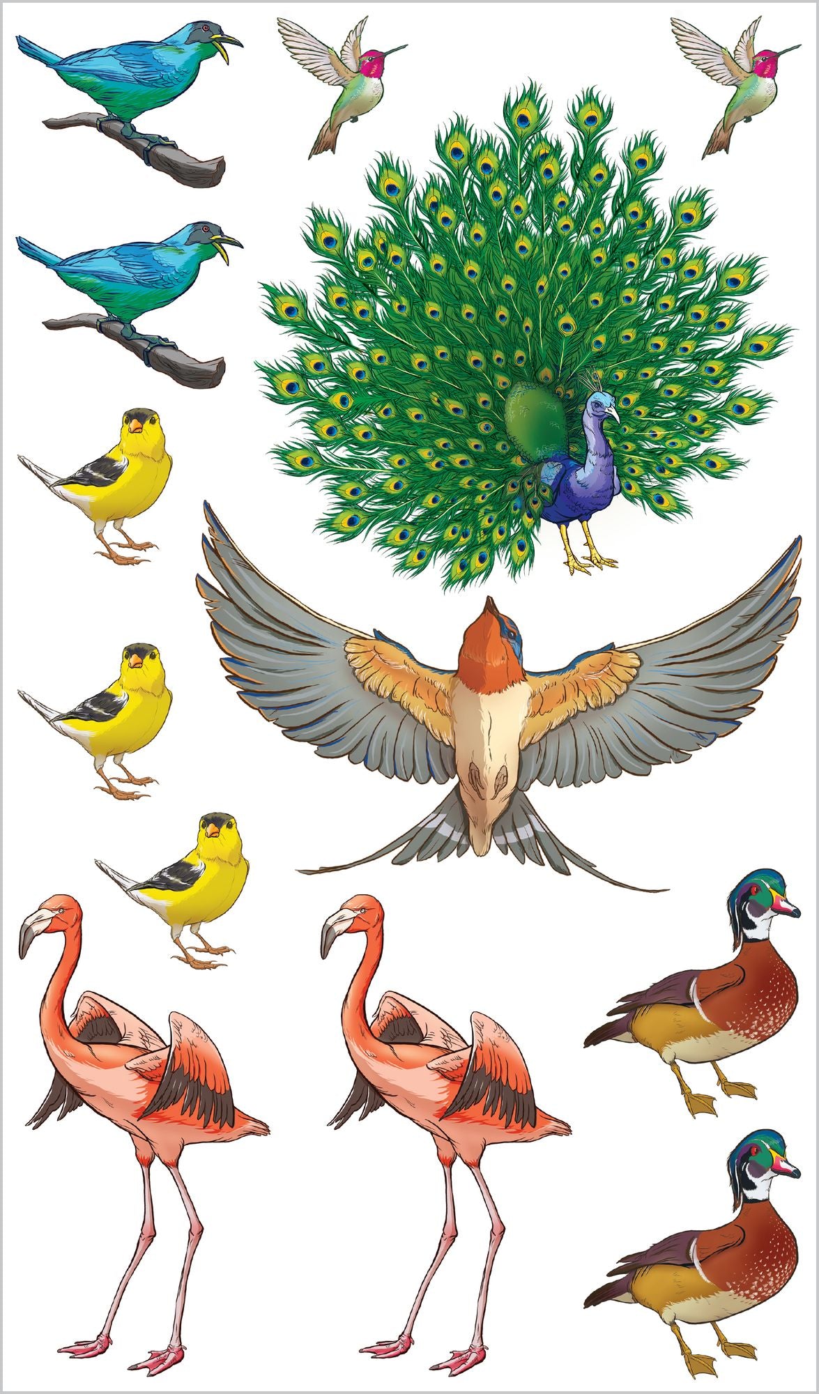 Soaring, Singing Tattoo Birds: 50 Temporary Tattoos That Teach