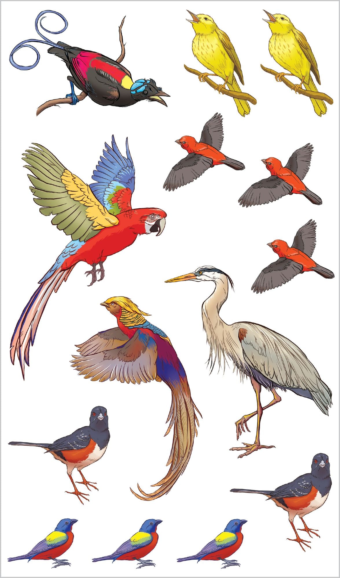 Soaring, Singing Tattoo Birds: 50 Temporary Tattoos That Teach