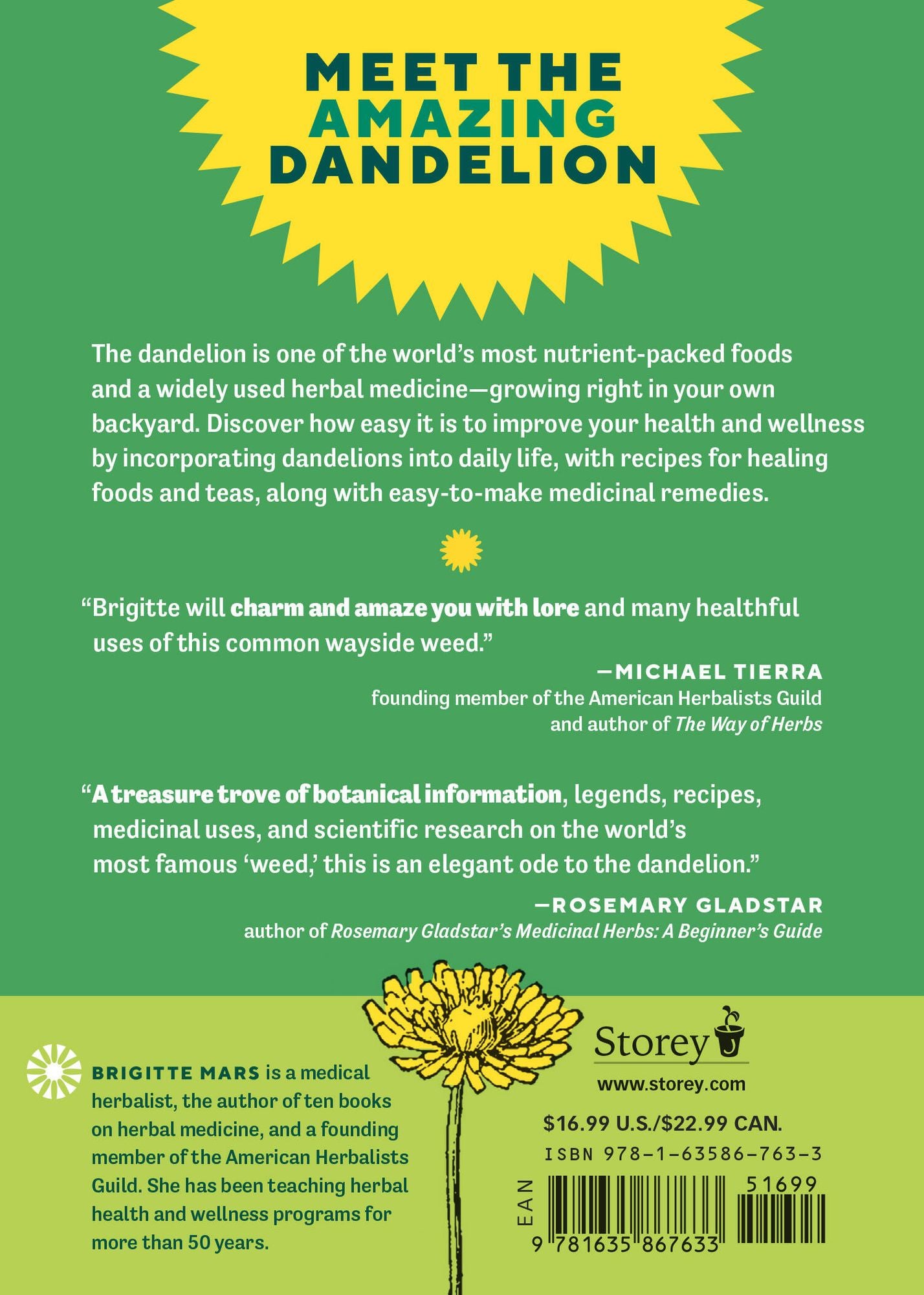 Dandelion Medicine, 2nd Edition: Forage, Feast, and Nourish Yourself with This Extraordinary Weed