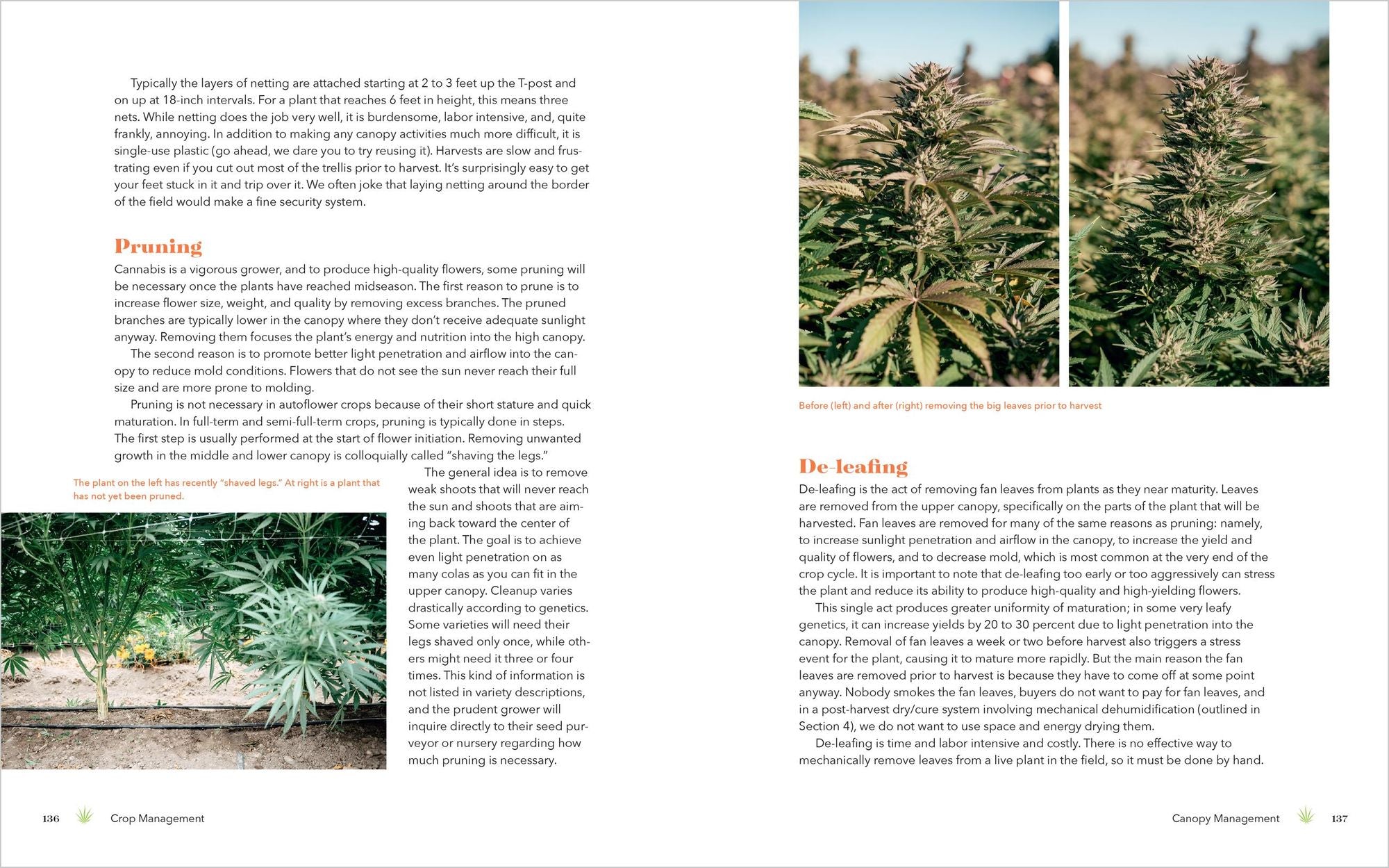 Cannabis Farming: How to Grow, Harvest, and Process Organic, Field-Grown Cannabis