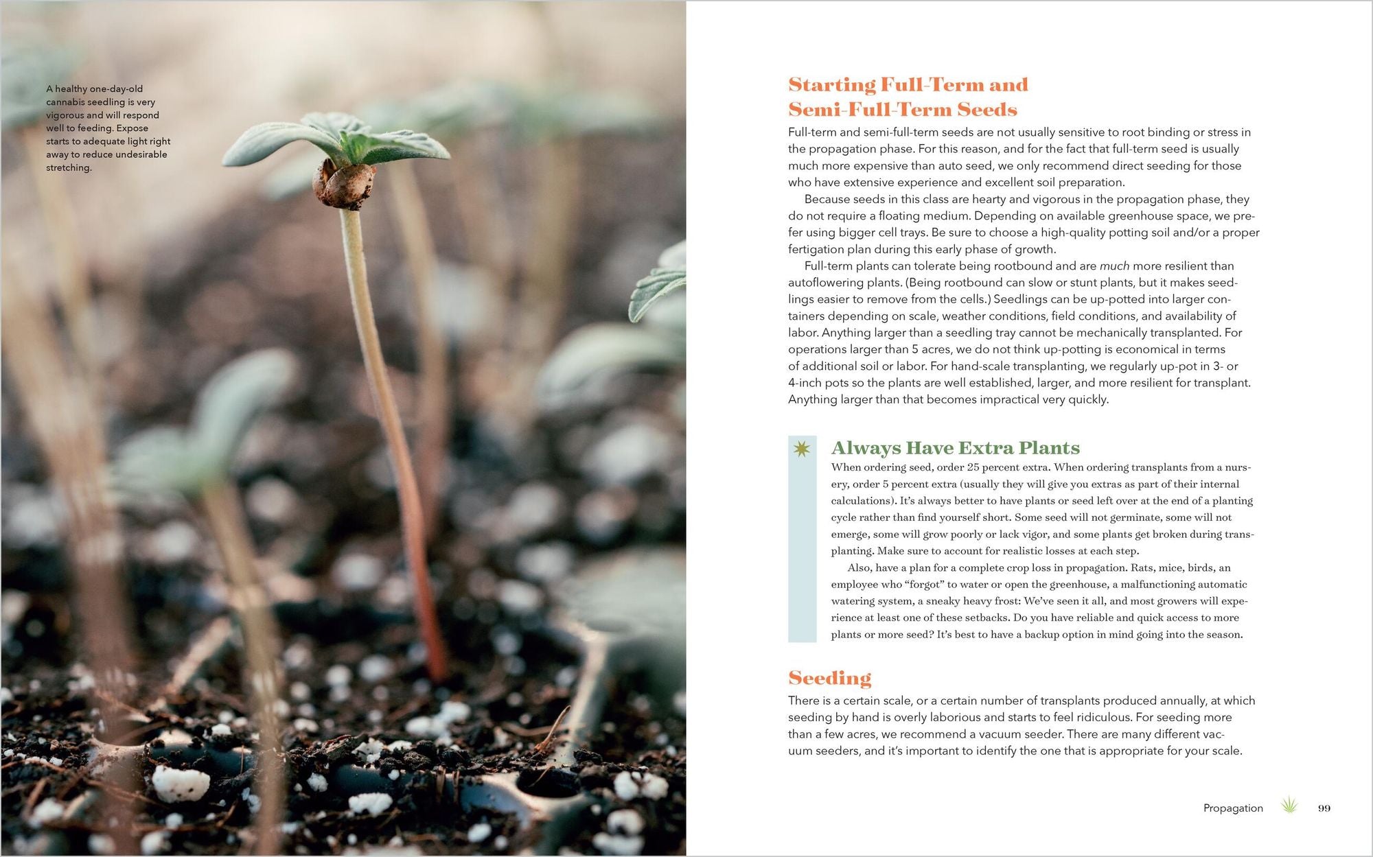 Cannabis Farming: How to Grow, Harvest, and Process Organic, Field-Grown Cannabis