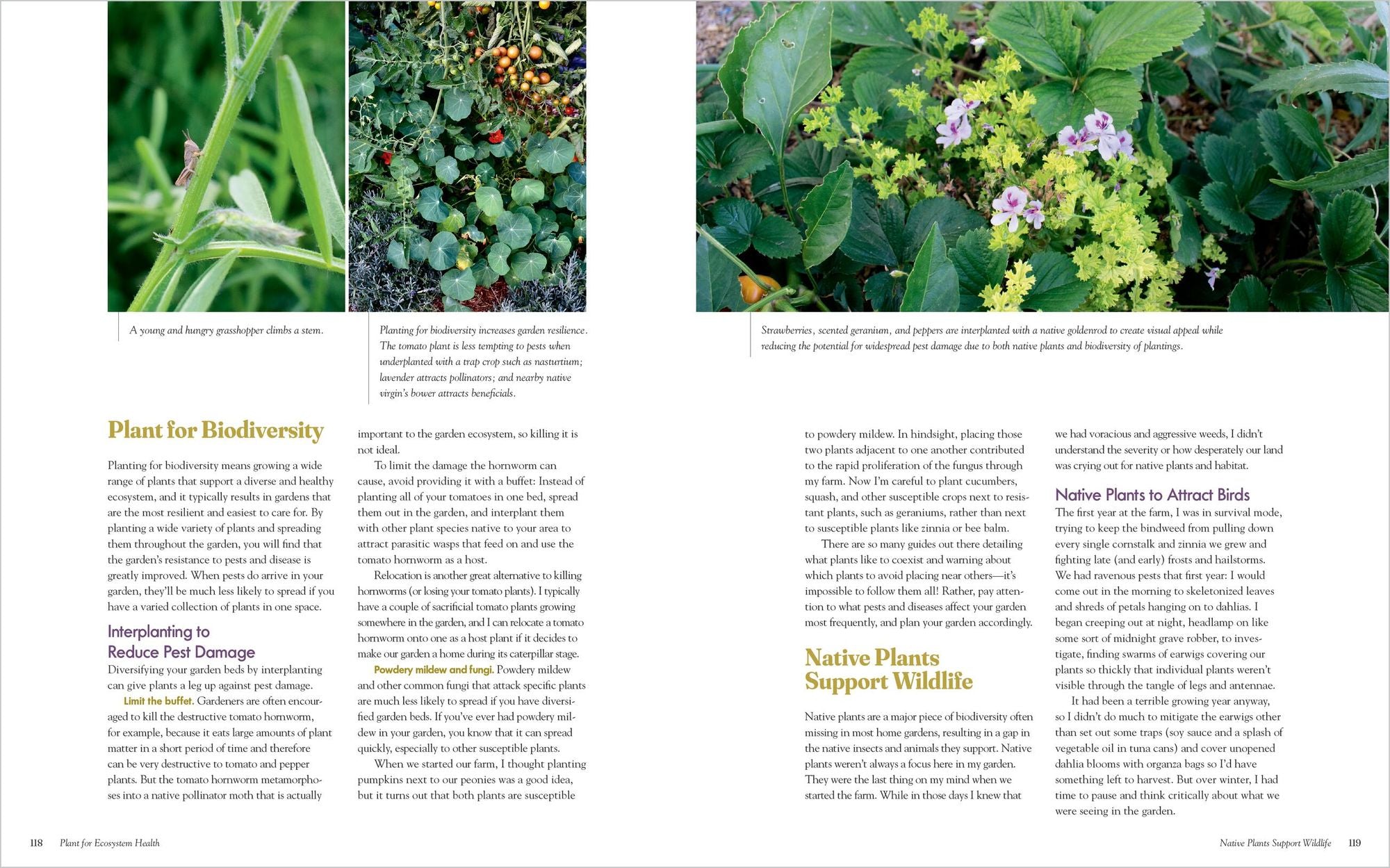 The Regenerative Gardener's Handbook: Essential Techniques for Growing a Garden That Leaves the Land Healthier Than You Found It