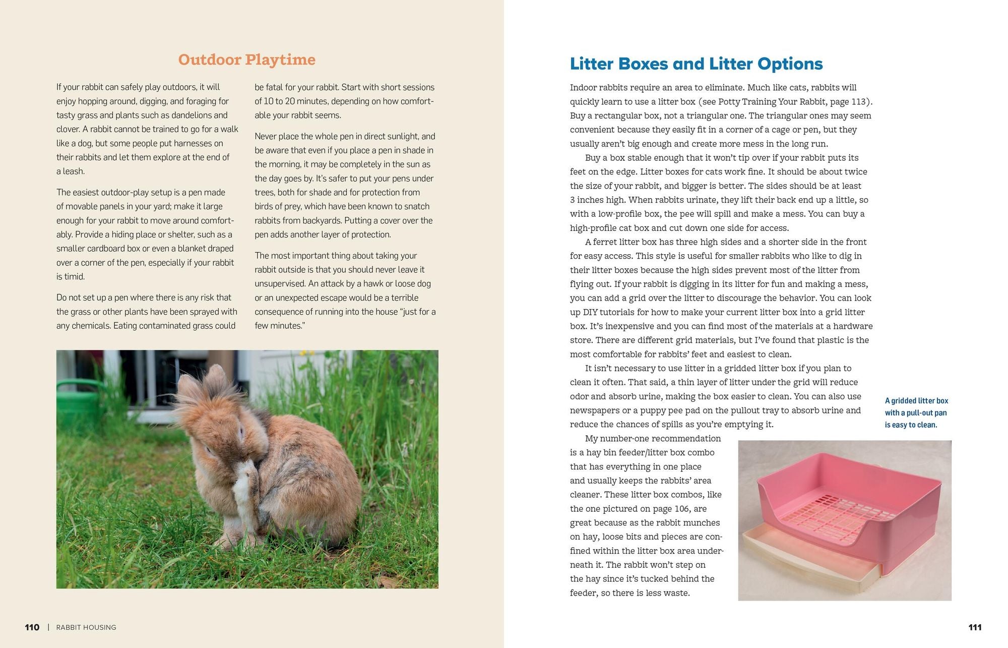 An Absolute Beginner's Guide to Keeping a Pet Rabbit: Handling, Feeding, Housing, and Grooming