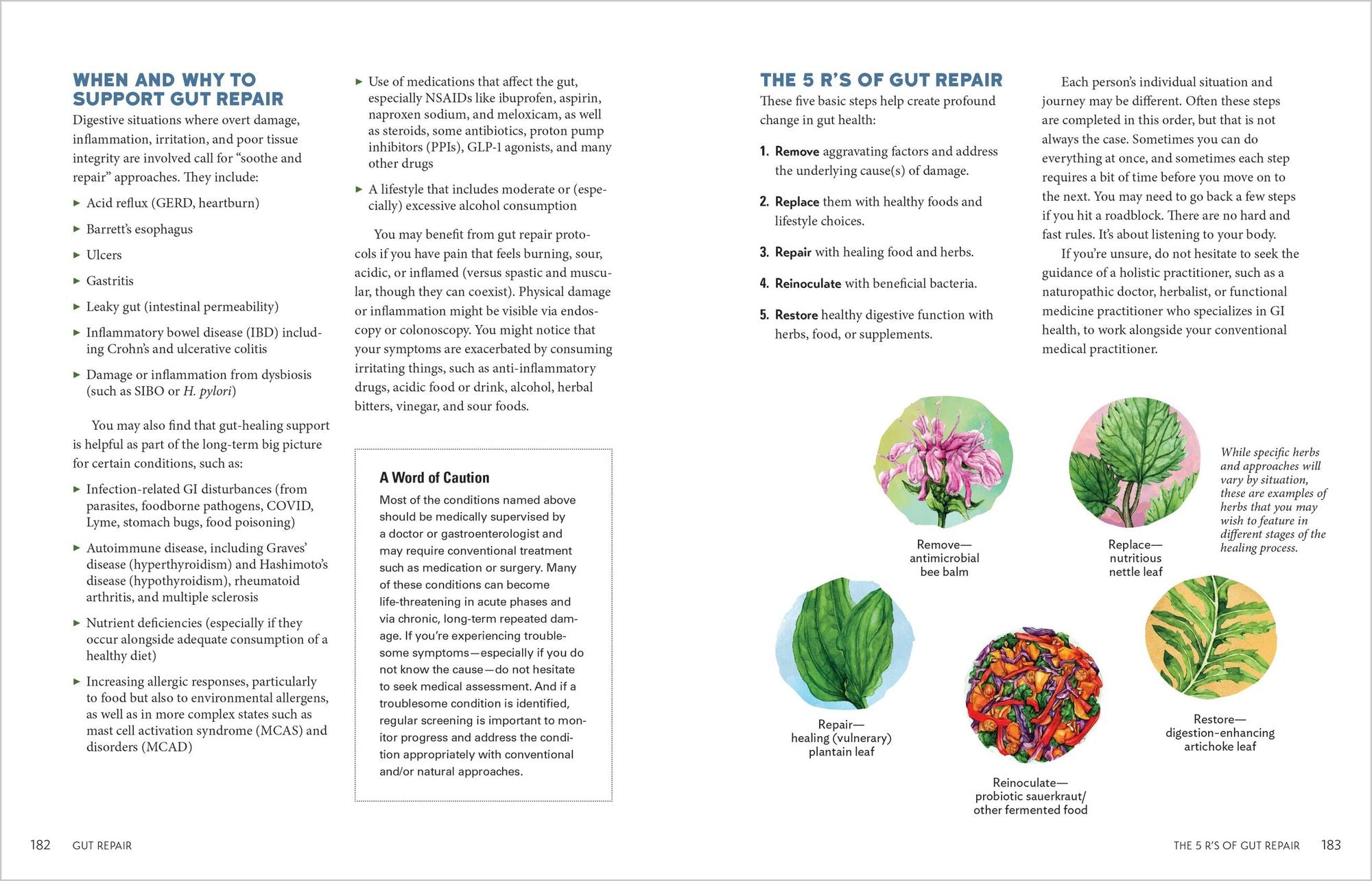 Herbal Gut Health: Natural Therapies to Promote Healthy Digestion, Boost Your Microbiome, and Support Gut Repair