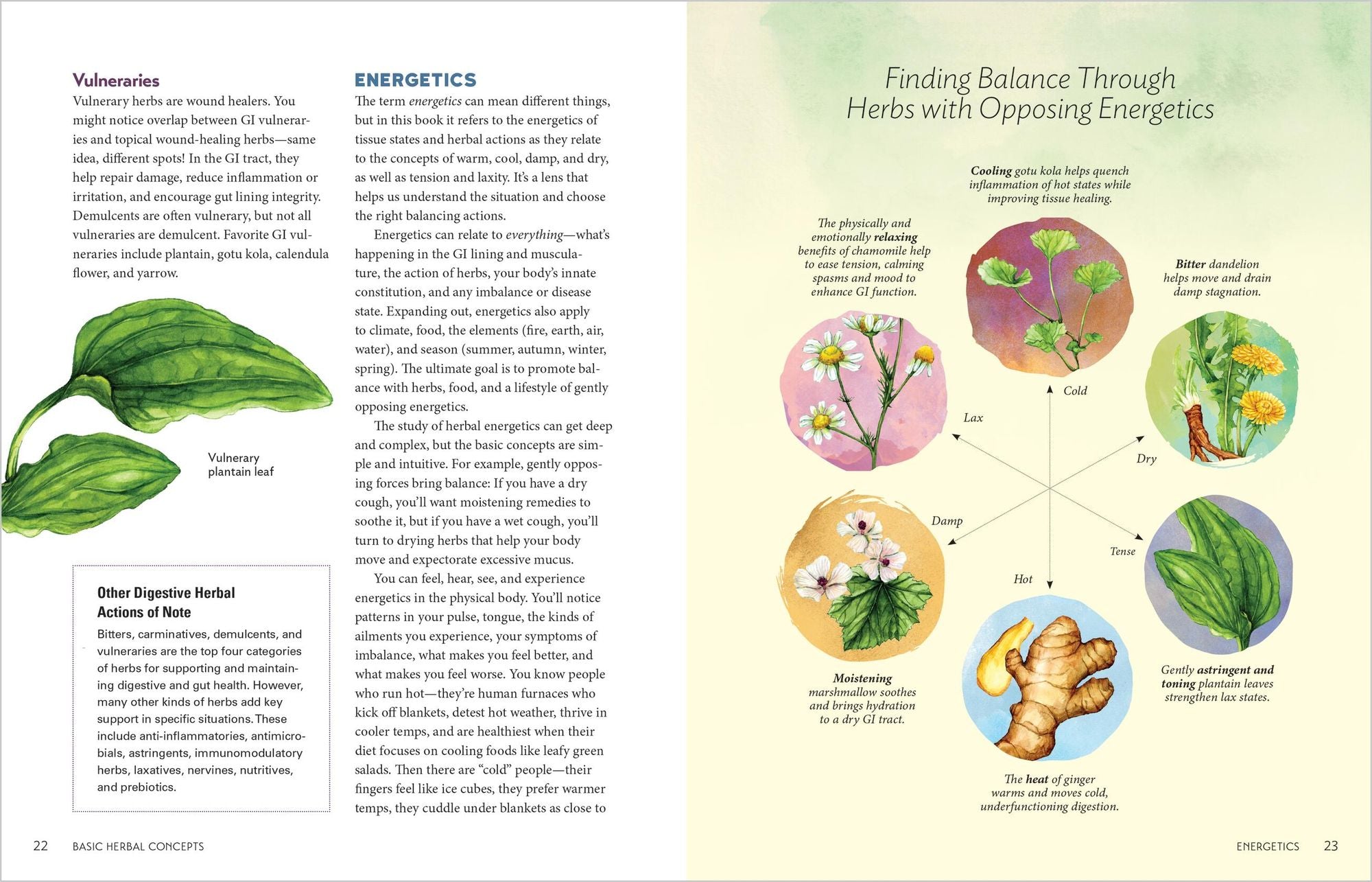Herbal Gut Health: Natural Therapies to Promote Healthy Digestion, Boost Your Microbiome, and Support Gut Repair