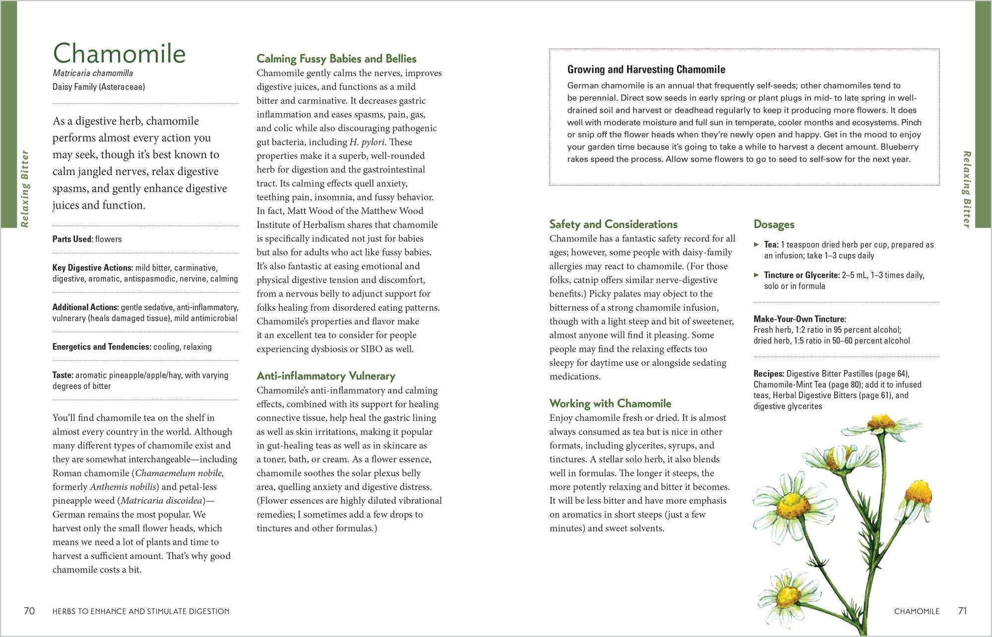 Herbal Gut Health: Natural Therapies to Promote Healthy Digestion, Boost Your Microbiome, and Support Gut Repair