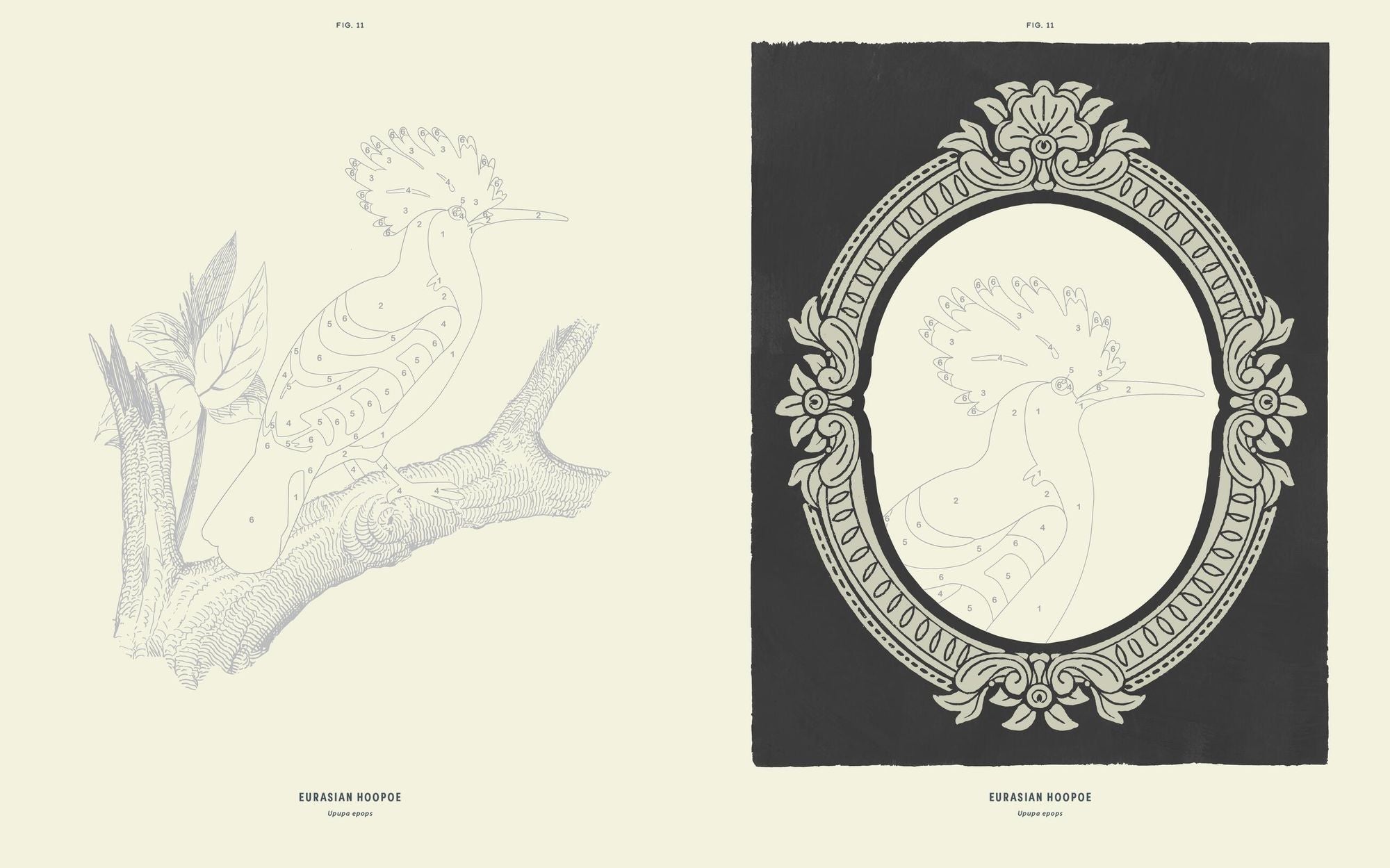 Coloready Birds: 20 Modern Paint-by-Number Prints