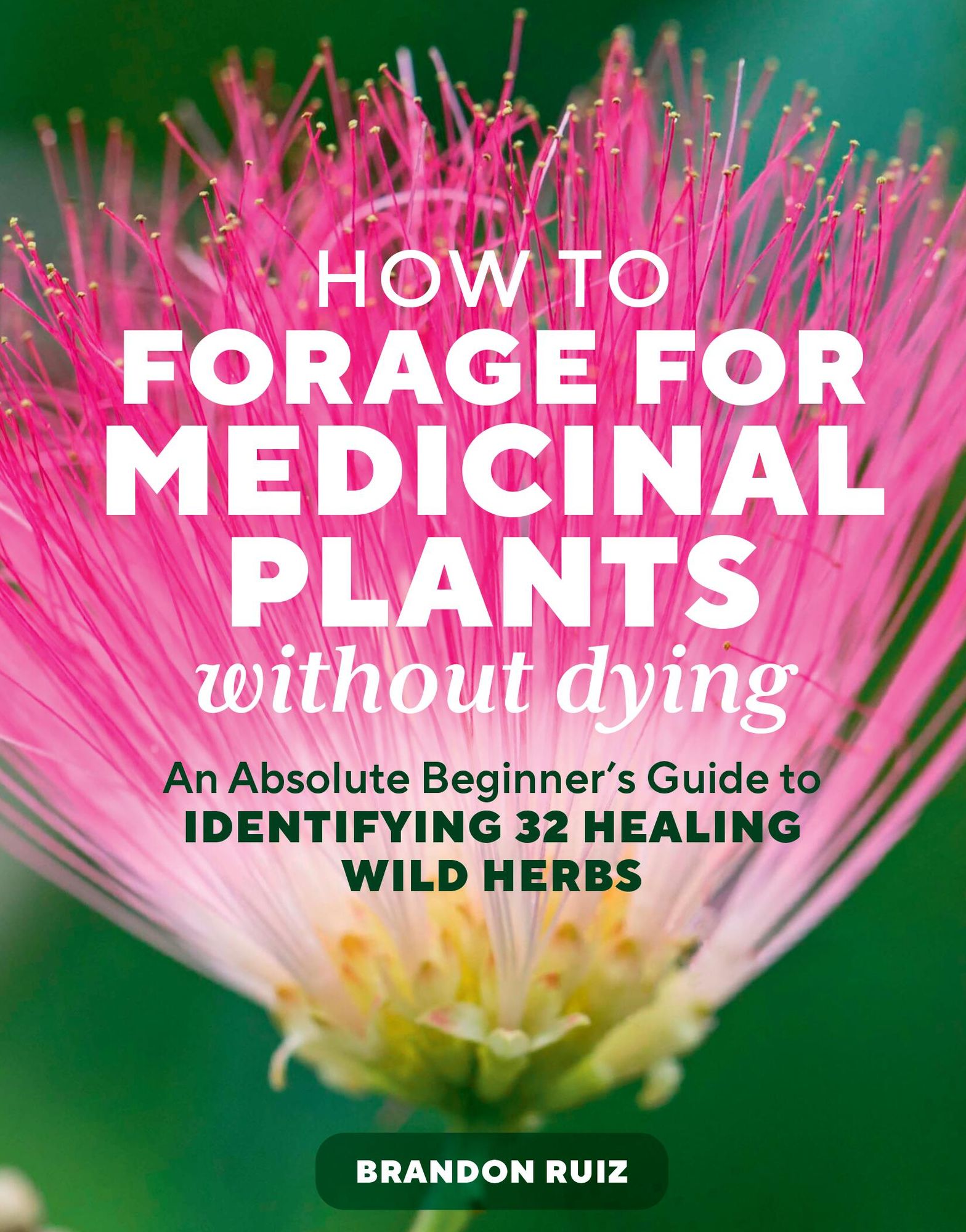 How to Forage for Medicinal Plants without Dying: An Absolute Beginner's Guide to Identifying 32 Healing Wild Herbs