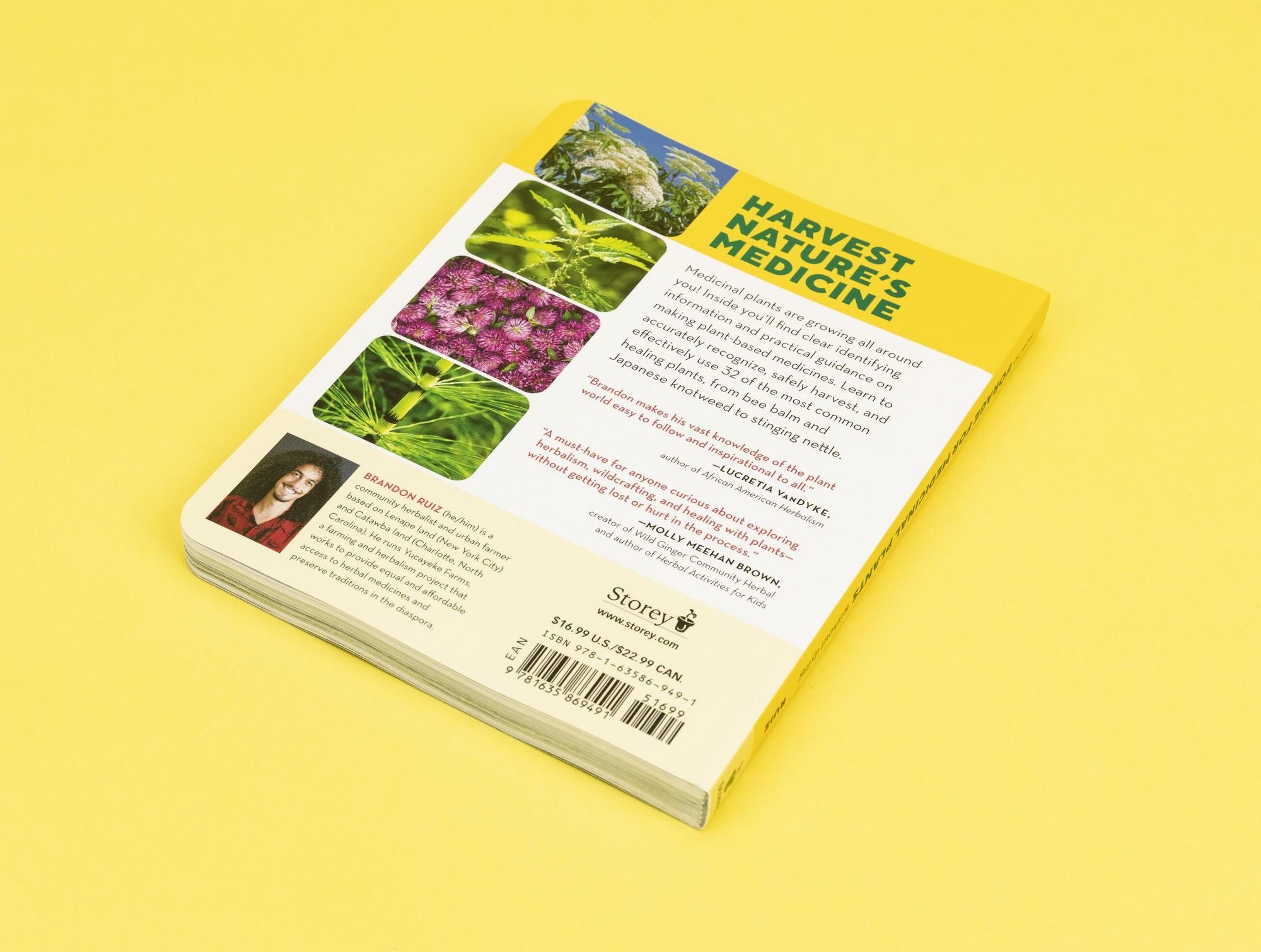 How to Forage for Medicinal Plants without Dying: An Absolute Beginner's Guide to Identifying 32 Healing Wild Herbs