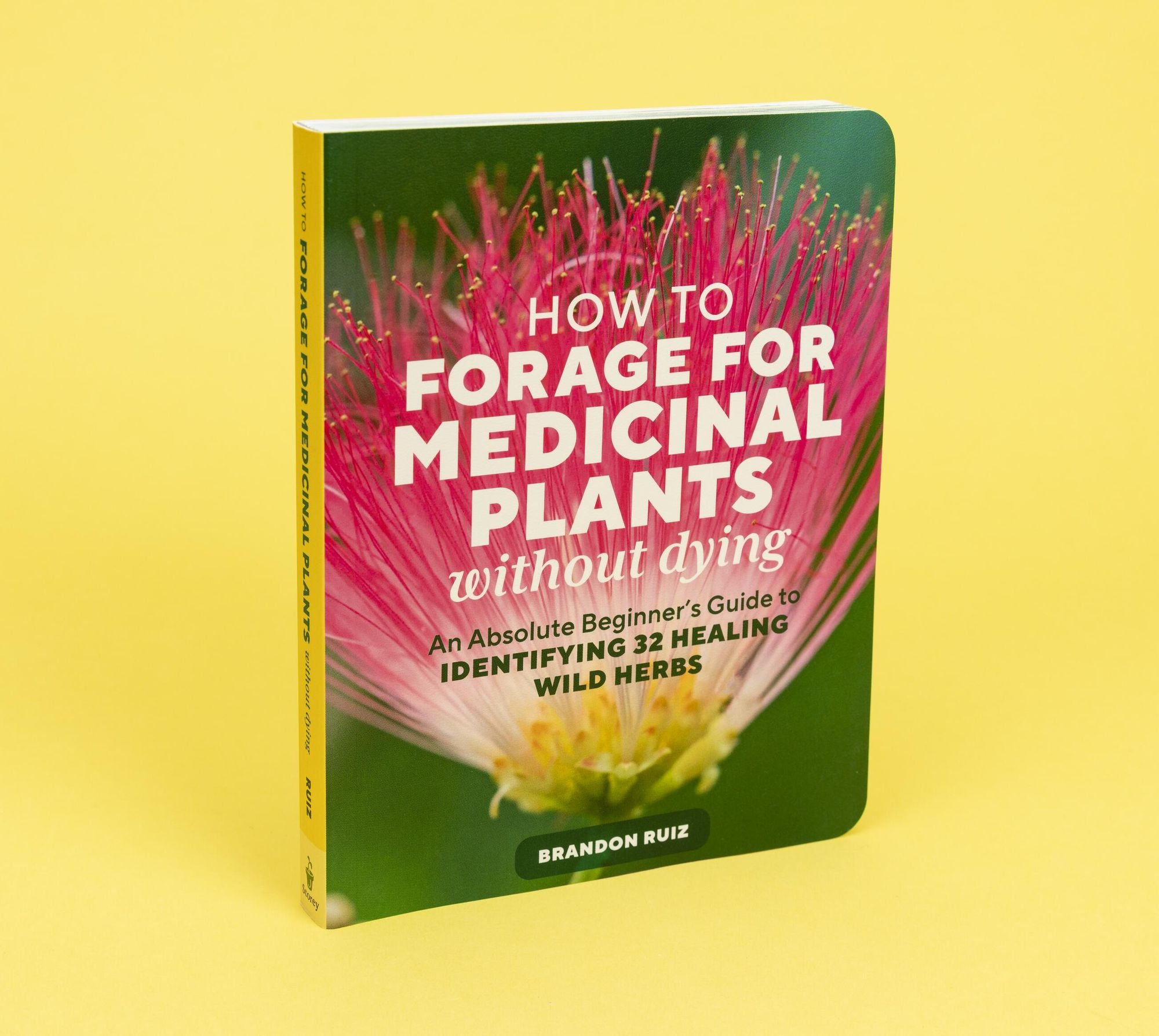 How to Forage for Medicinal Plants without Dying: An Absolute Beginner's Guide to Identifying 32 Healing Wild Herbs