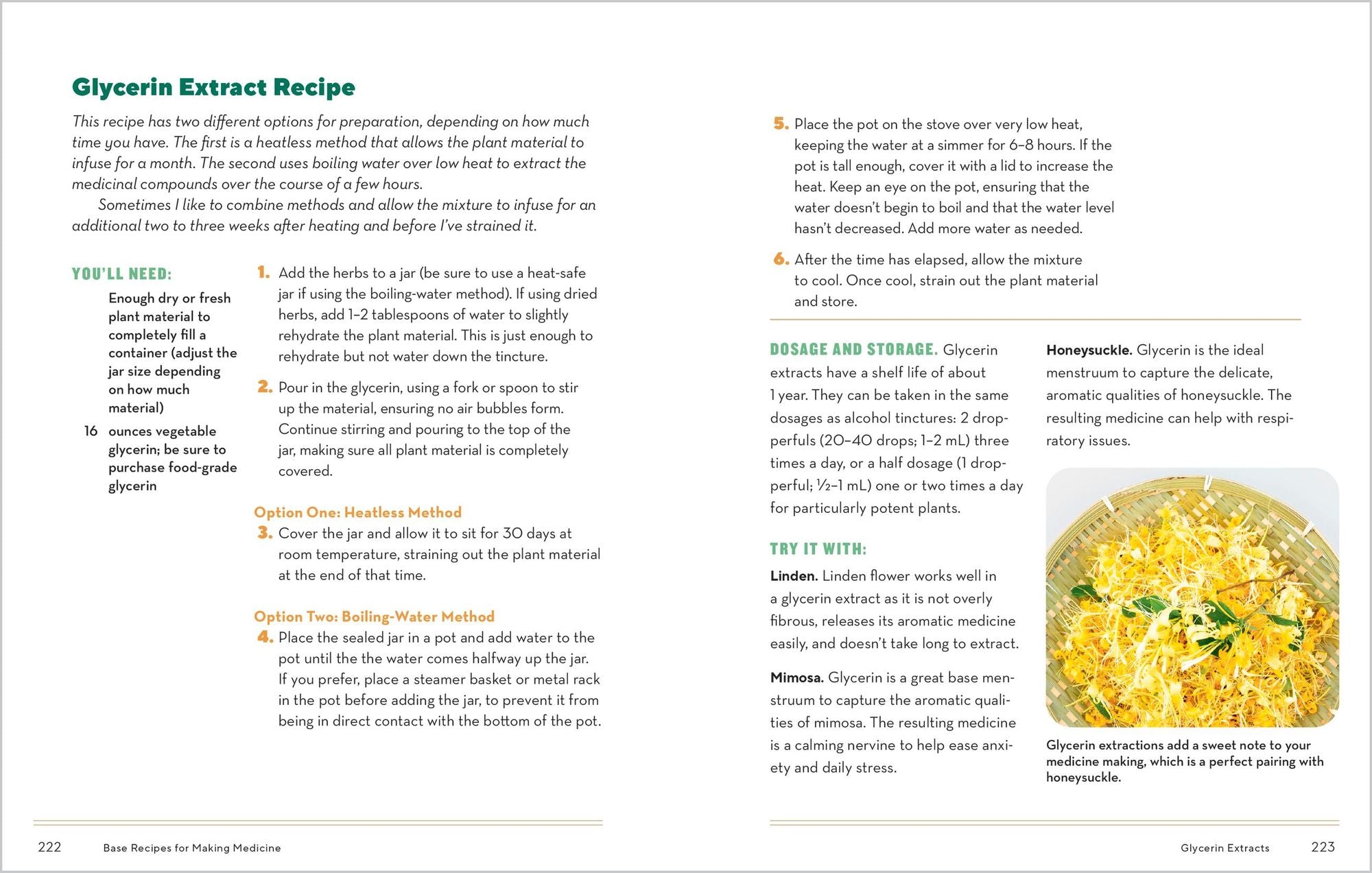 How to Forage for Medicinal Plants without Dying: An Absolute Beginner's Guide to Identifying 32 Healing Wild Herbs