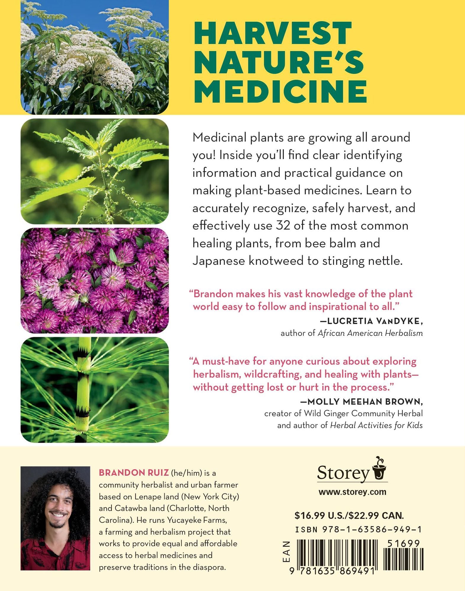 How to Forage for Medicinal Plants without Dying: An Absolute Beginner's Guide to Identifying 32 Healing Wild Herbs