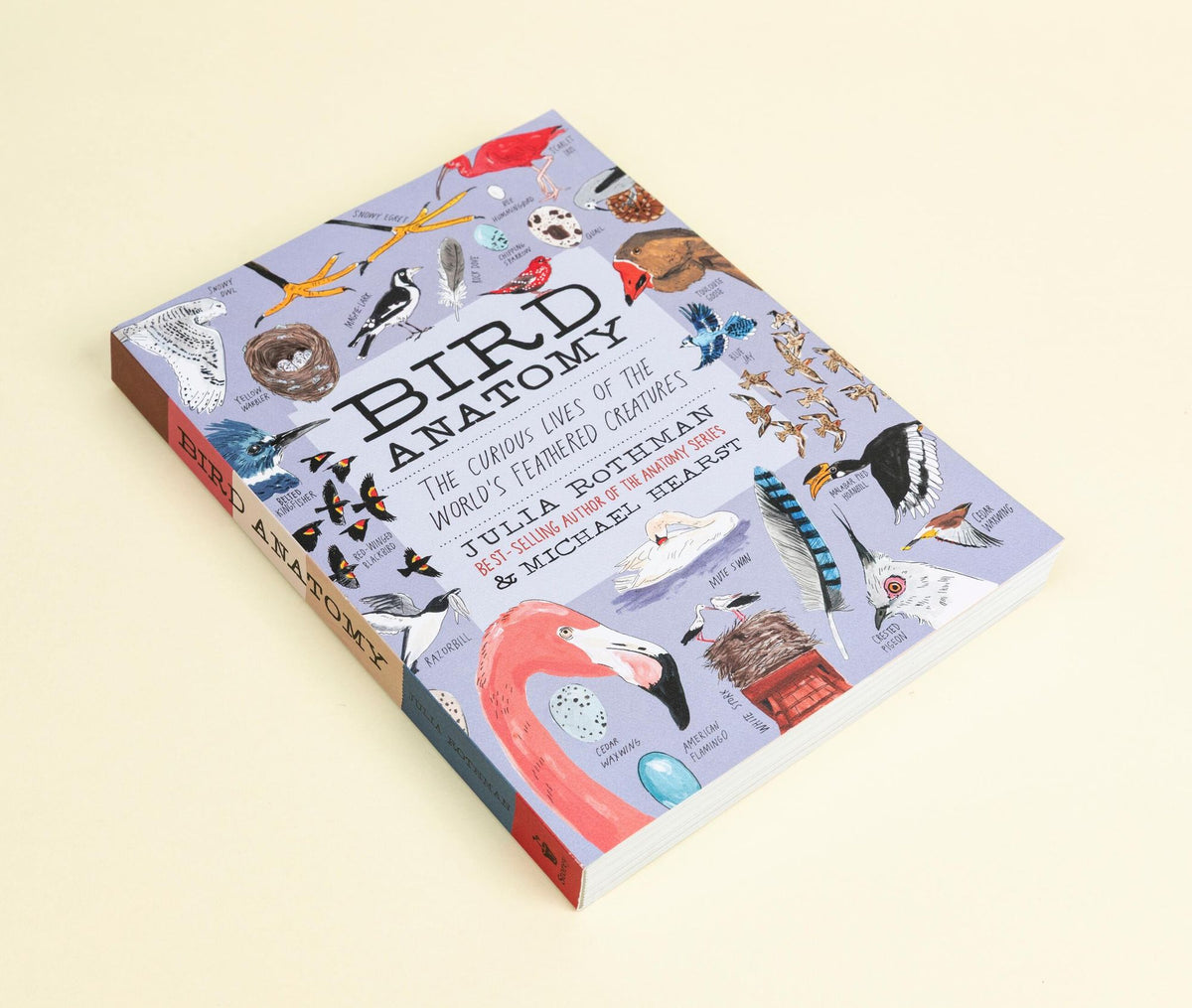 Bird Anatomy: The Curious Lives of the World's Feathered Creatures