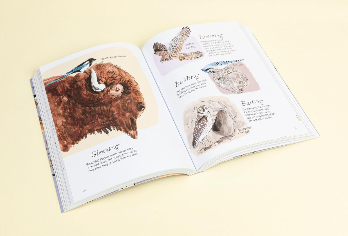 Bird Anatomy: The Curious Lives of the World's Feathered Creatures