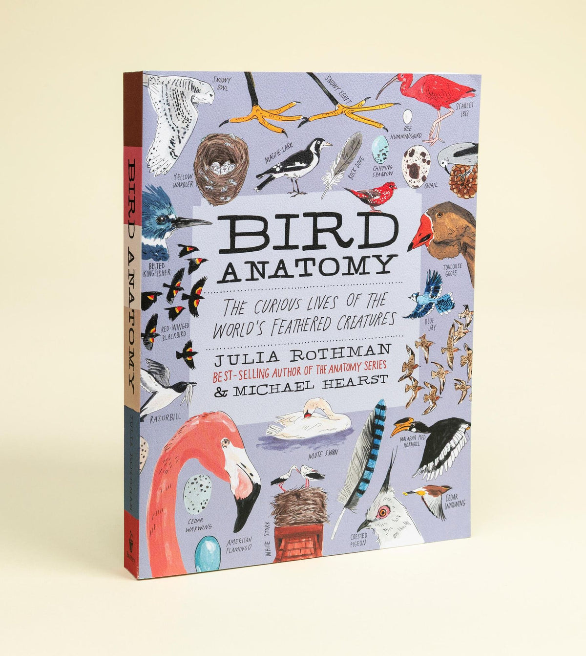 Bird Anatomy: The Curious Lives of the World's Feathered Creatures
