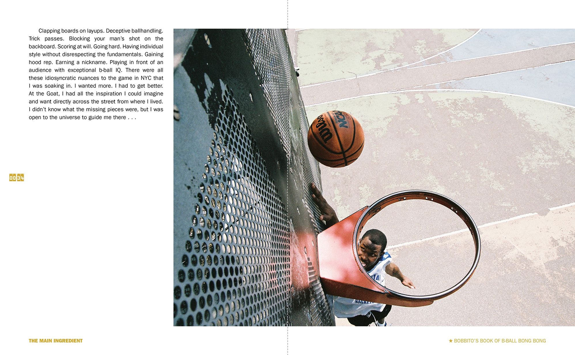 Bobbito's Book of B-Ball Bong Bong!: A Memoir of Sports, Style, and Soul