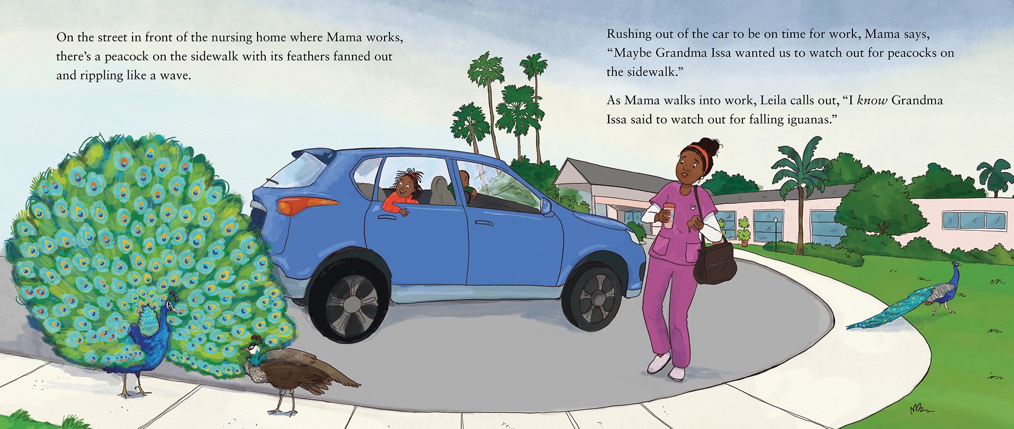 Watch Out for Falling Iguanas: A Children's Picture Book