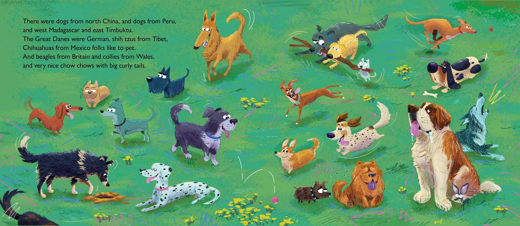 WillieBoy Eats the World: A Children's Picture Book