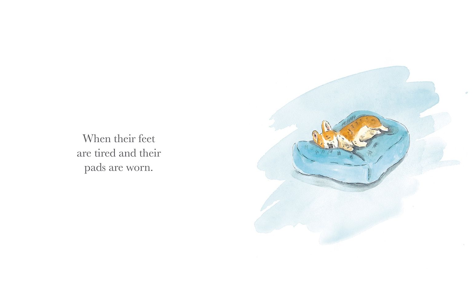 What Do You Do When Your Dog Grows Old?: A Poem by Jackie Short