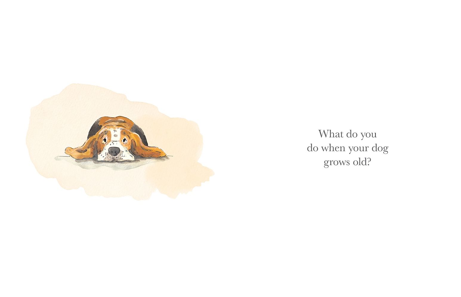 What Do You Do When Your Dog Grows Old?: A Poem by Jackie Short