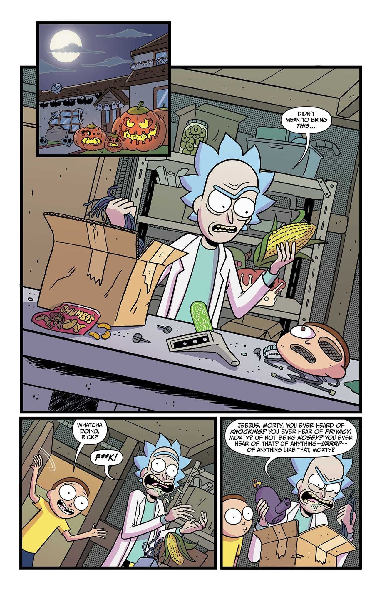 Rick and Morty Yearbook Vol. 1