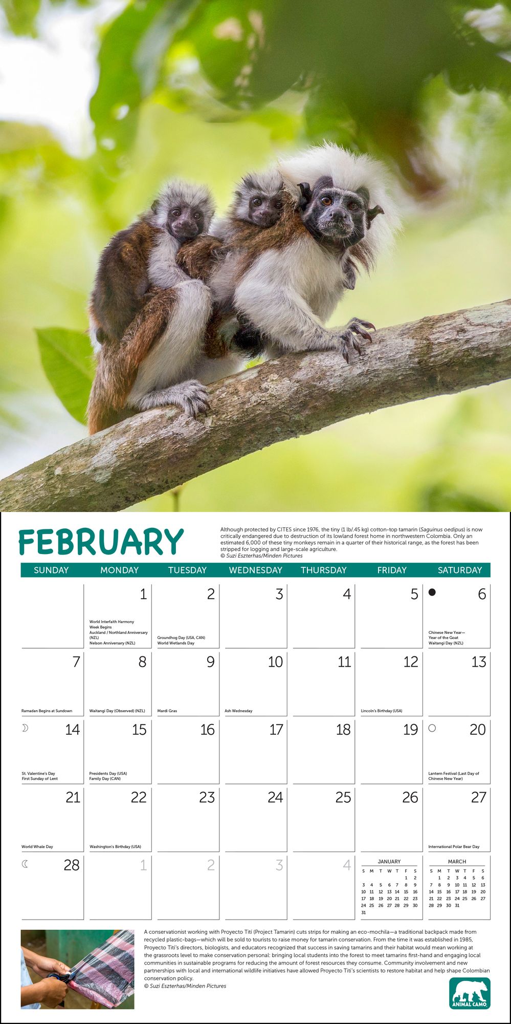 2027 Project Green Wall Calendar