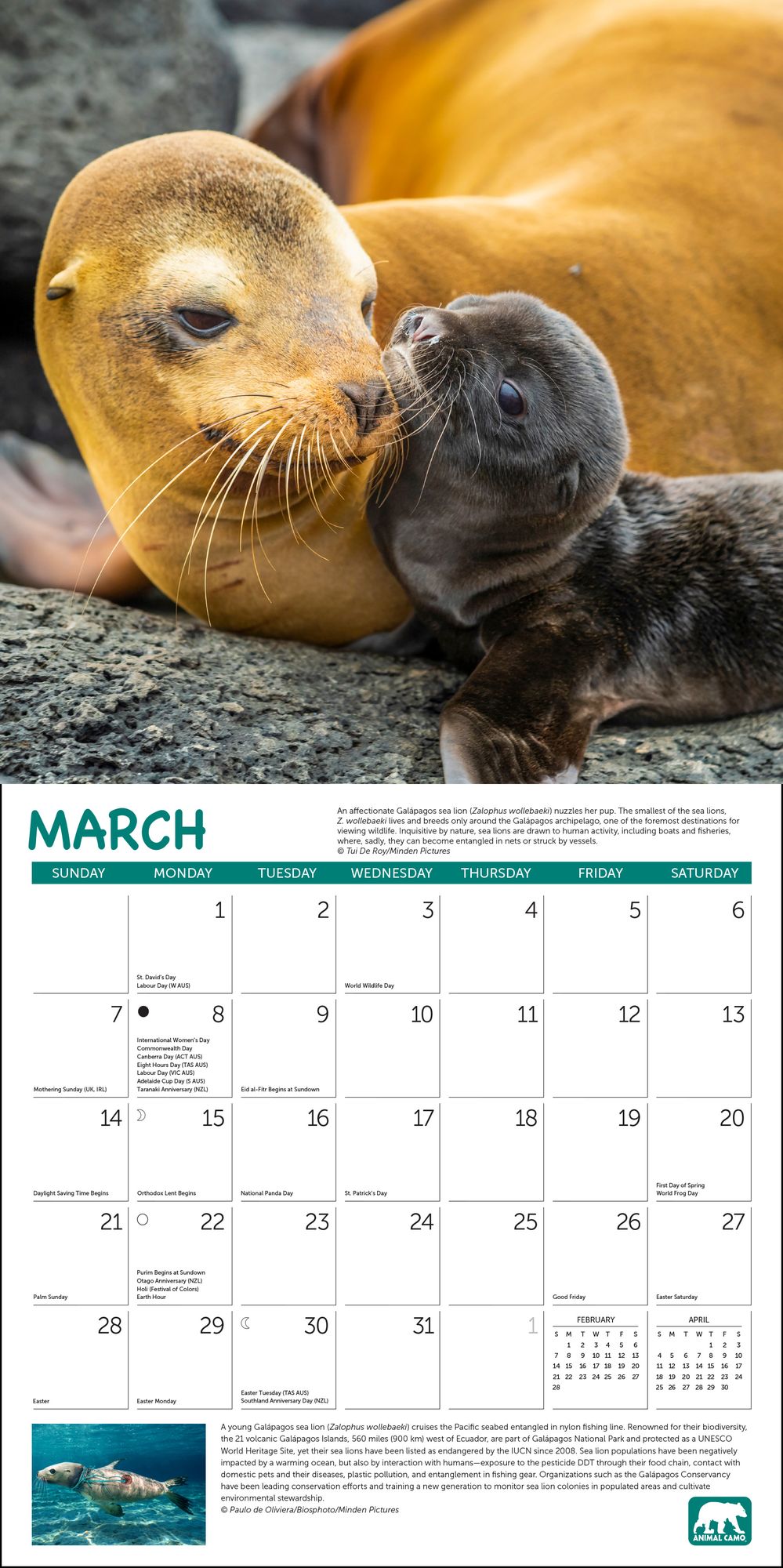 2027 Project Green Wall Calendar
