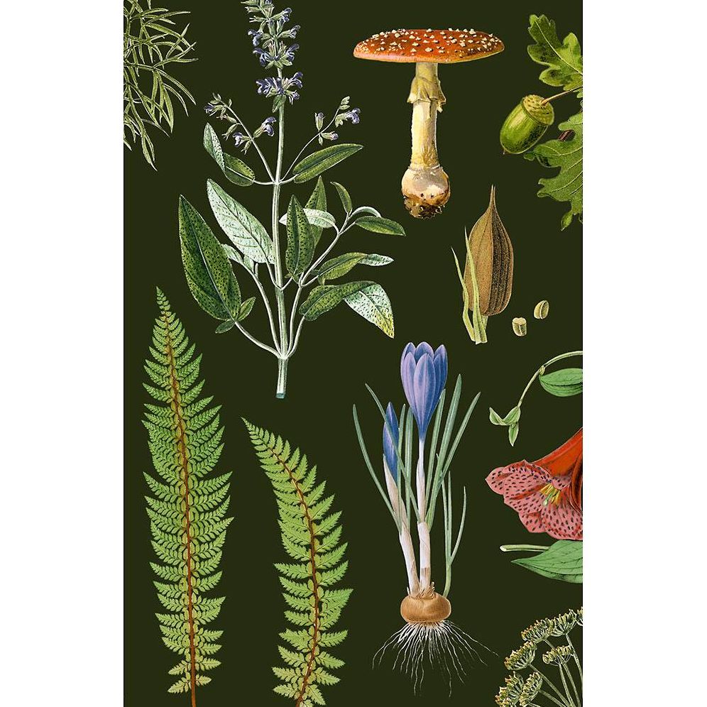 Woodland (Blank Lined Journal)