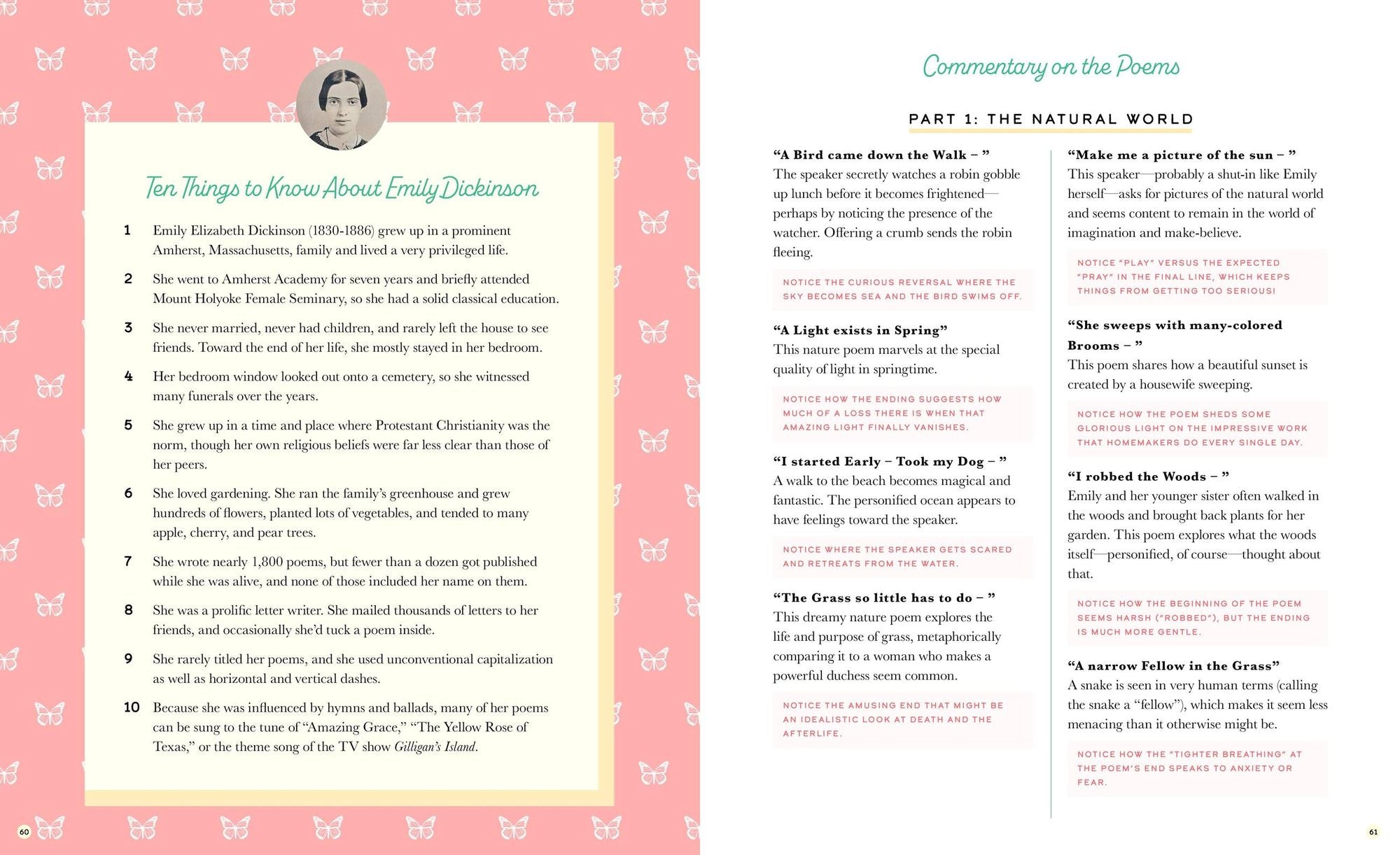 The Illustrated Emily Dickinson: 25 Essential Poems