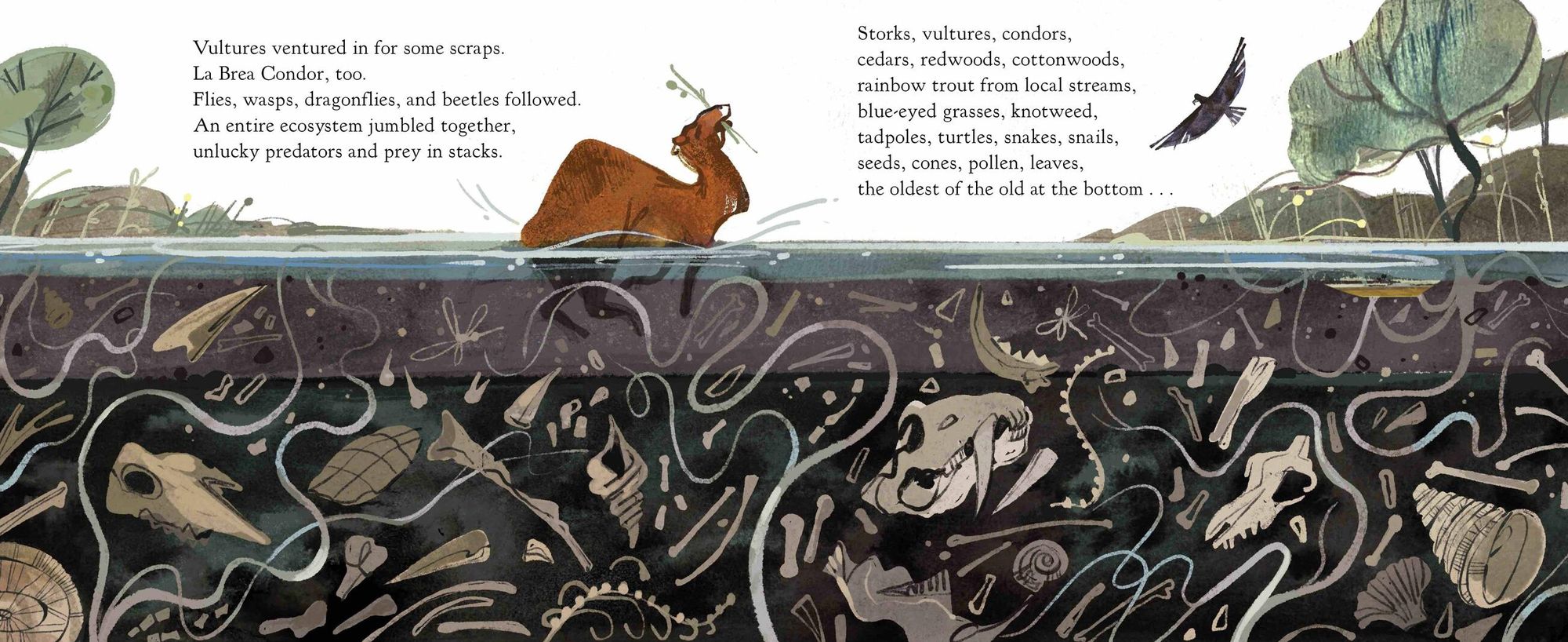 Stuck! The Story of La Brea Tar Pits