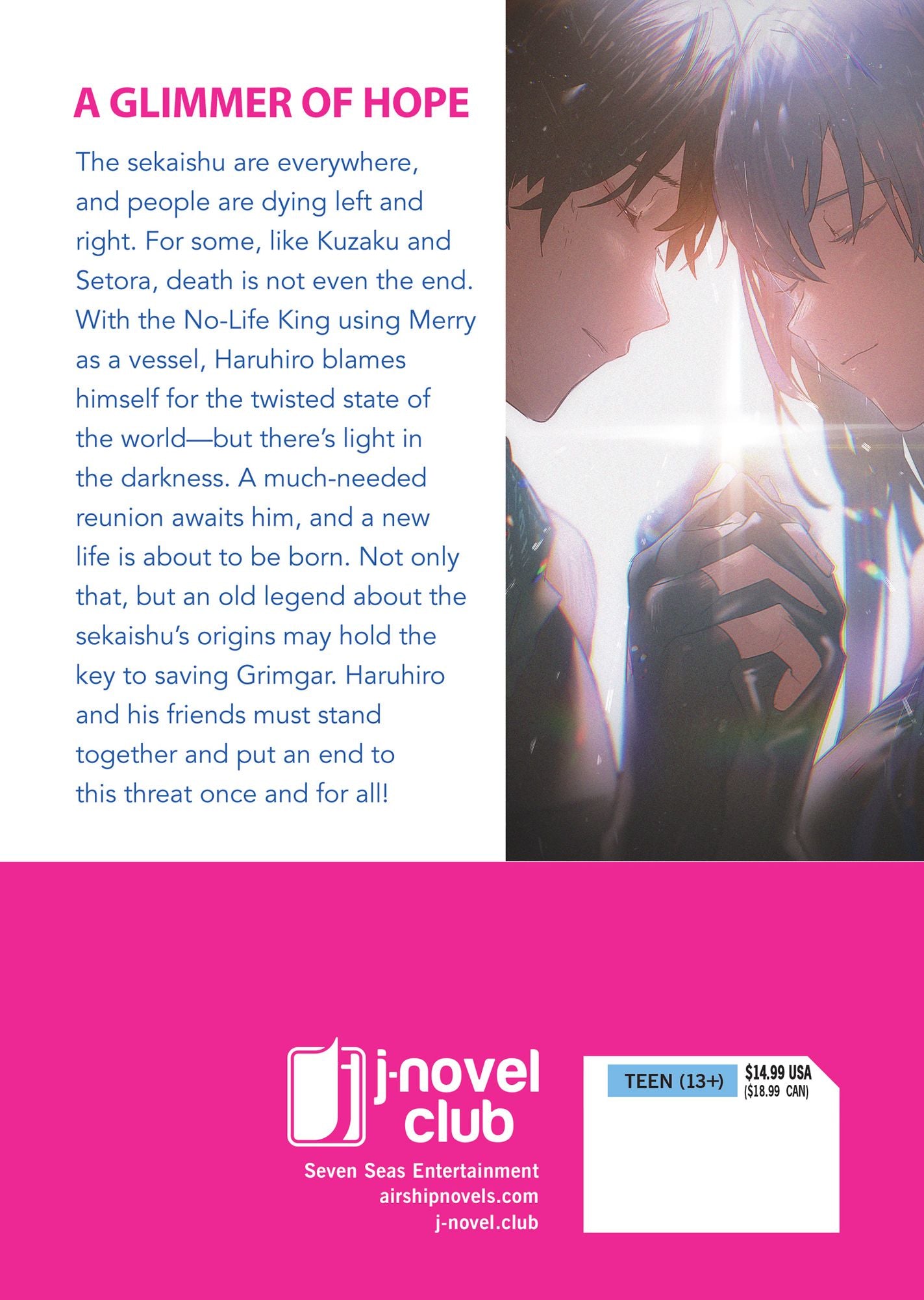 Grimgar of Fantasy and Ash (Light Novel) Vol. 20