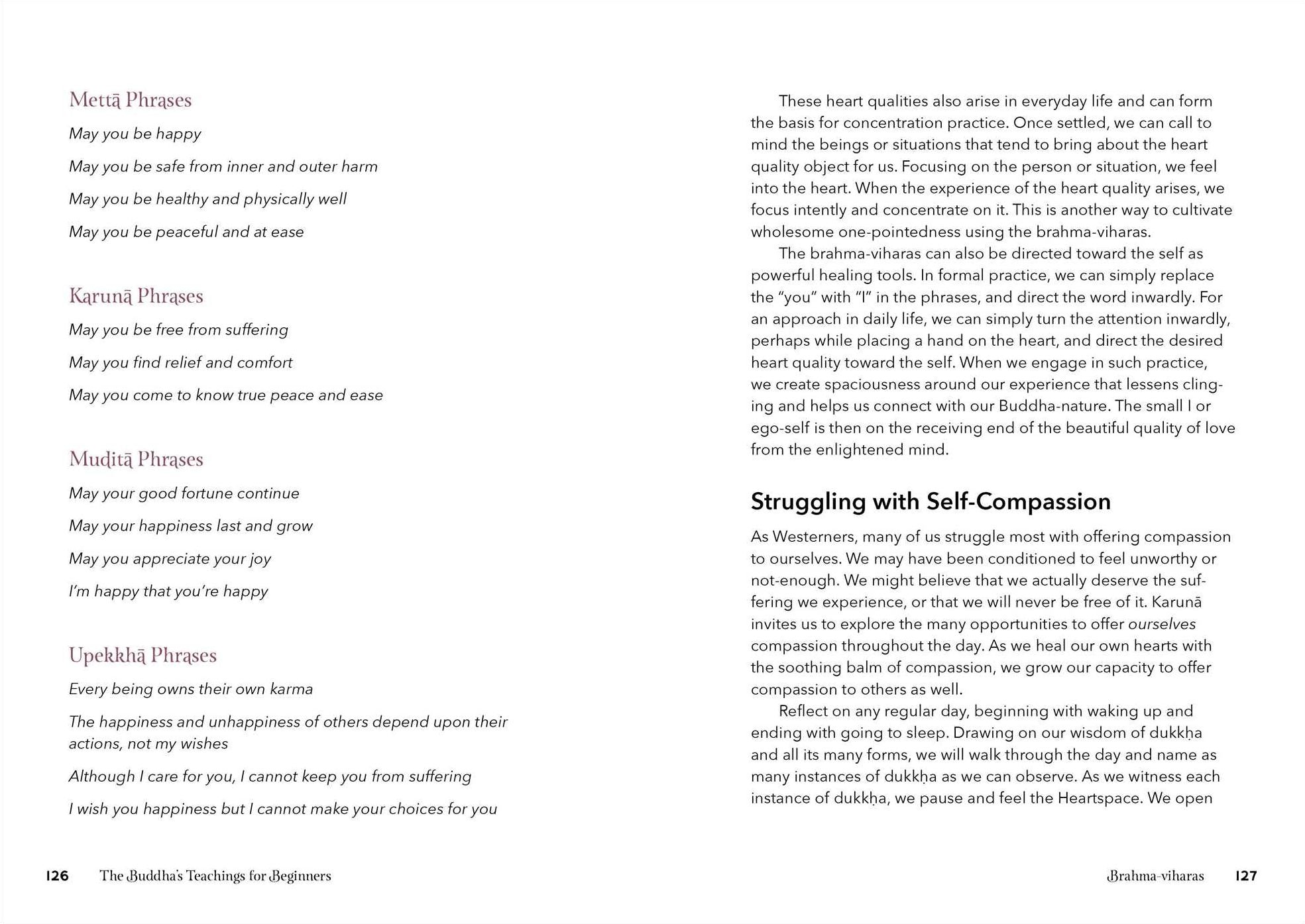 The Buddha's Teachings for Beginners: A Simple Guide to Connect the Buddha's Lessons to Everyday Life