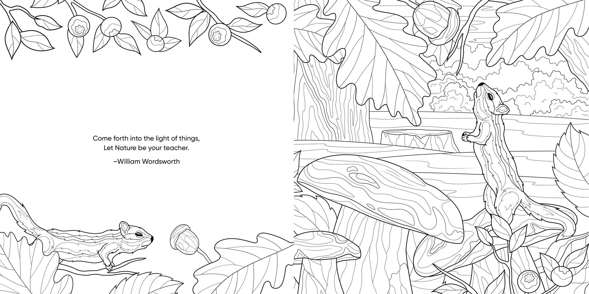 Keepsake Coloring Color Me Humming Bird