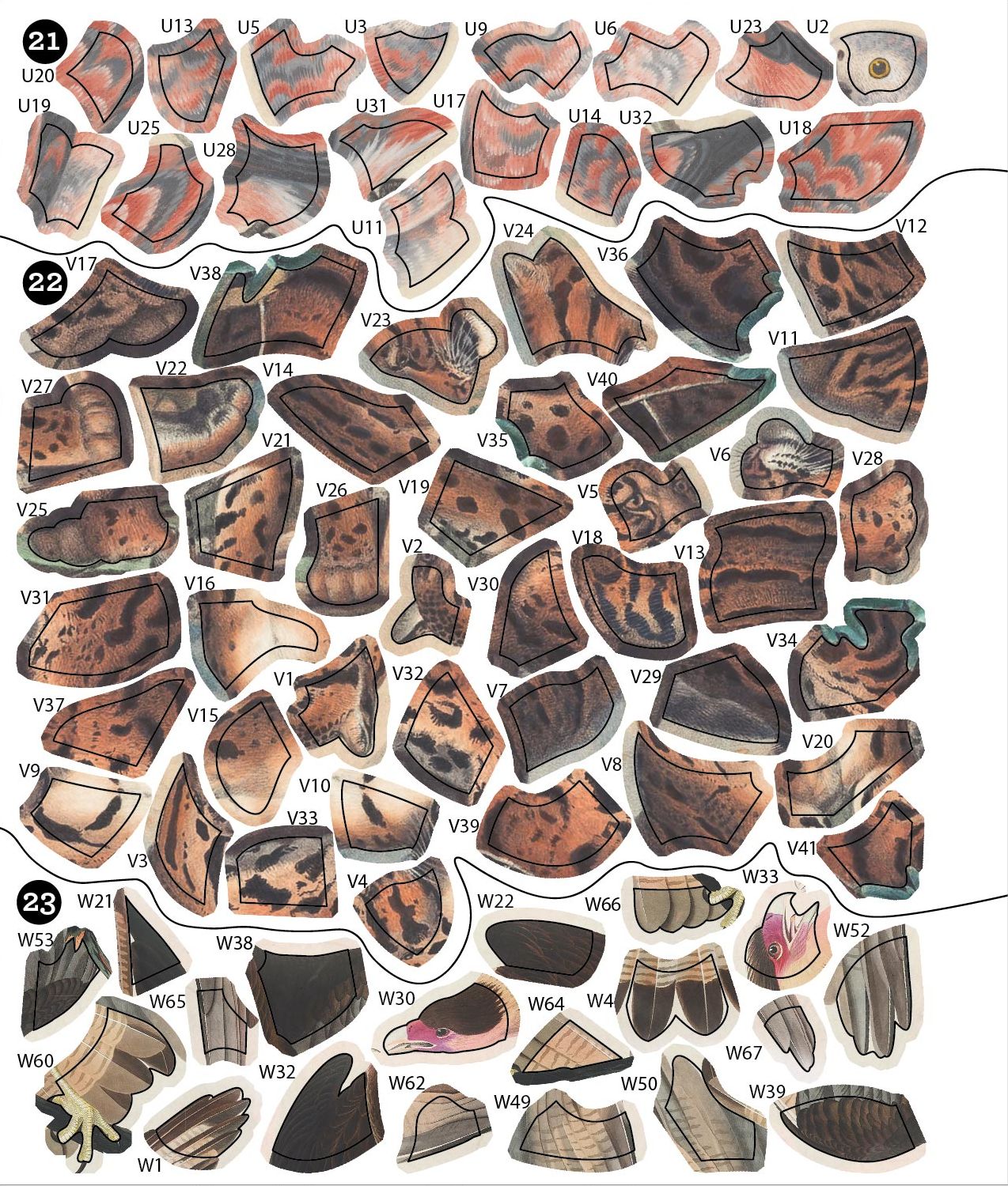 Sticker By Number Vintage Animals
