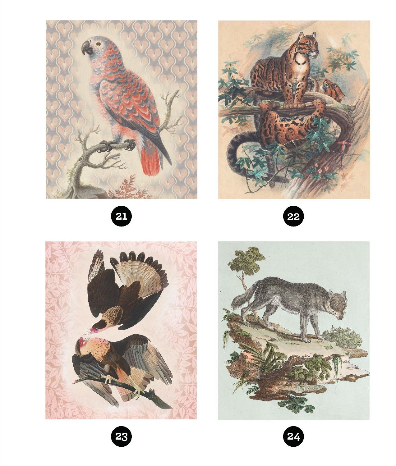 Sticker By Number Vintage Animals