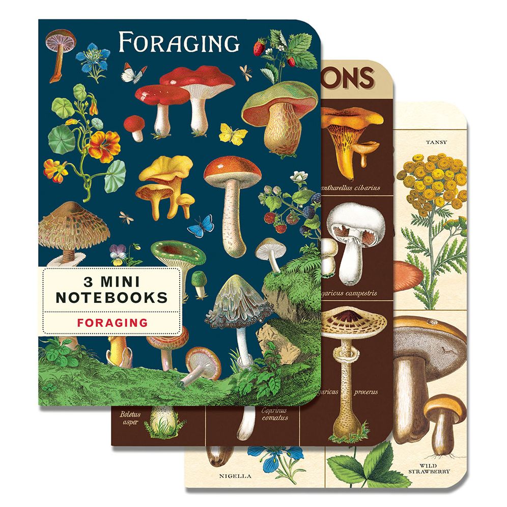 Foraging Mini Notebook Set