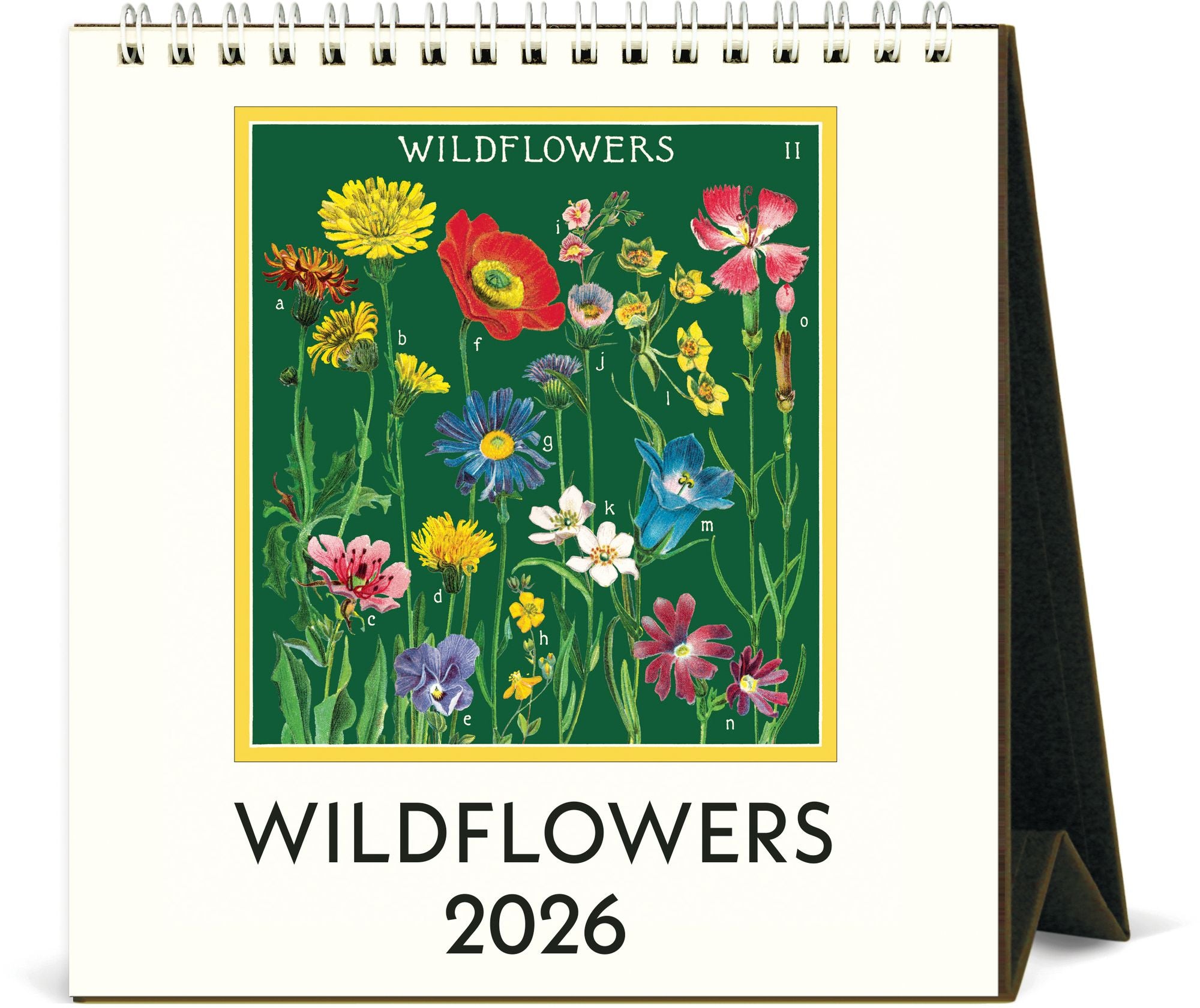 2026 Cavallini Wildflowers Desk Calendar
