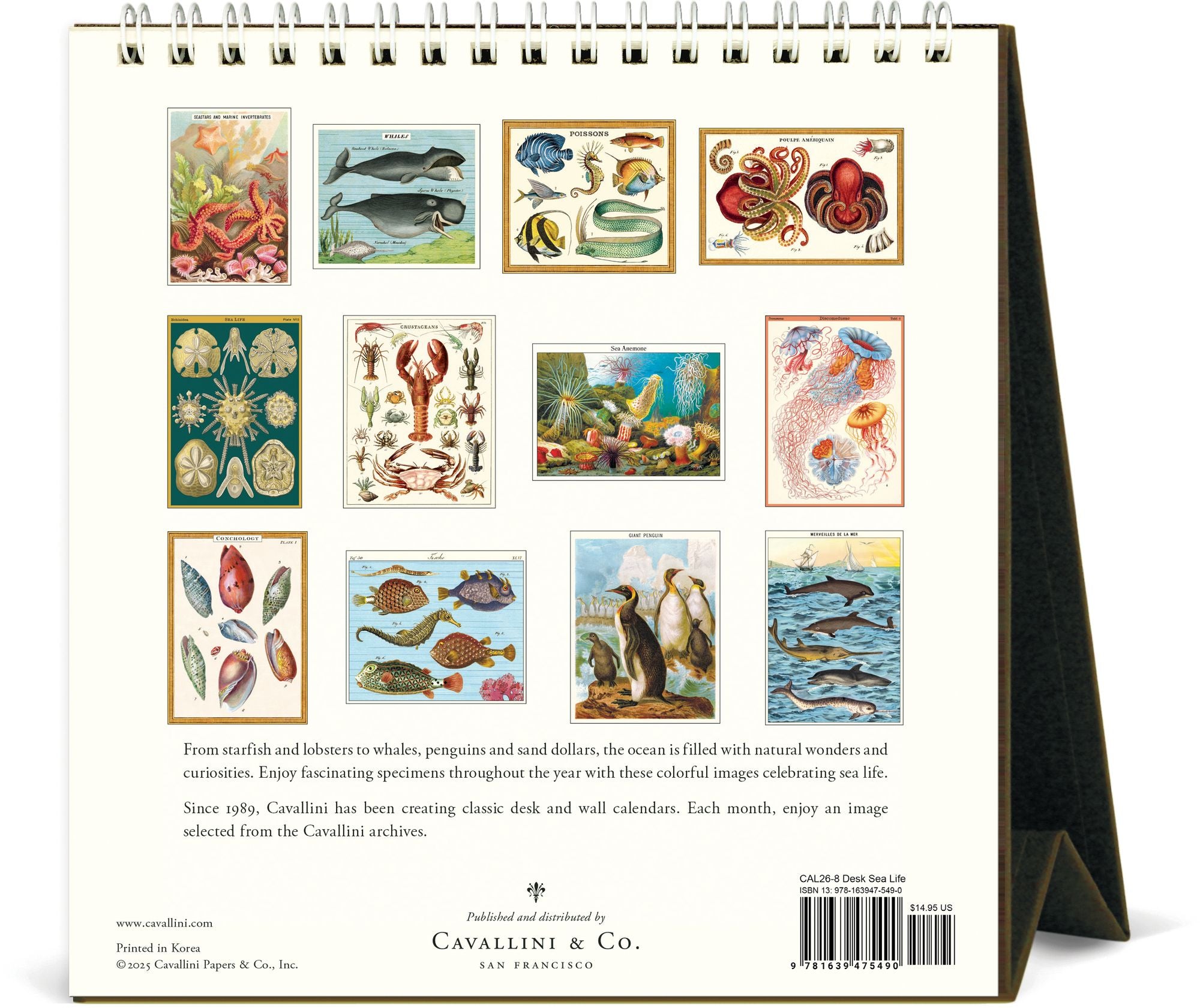 2026 Cavallini Sea Life Desk Calendar